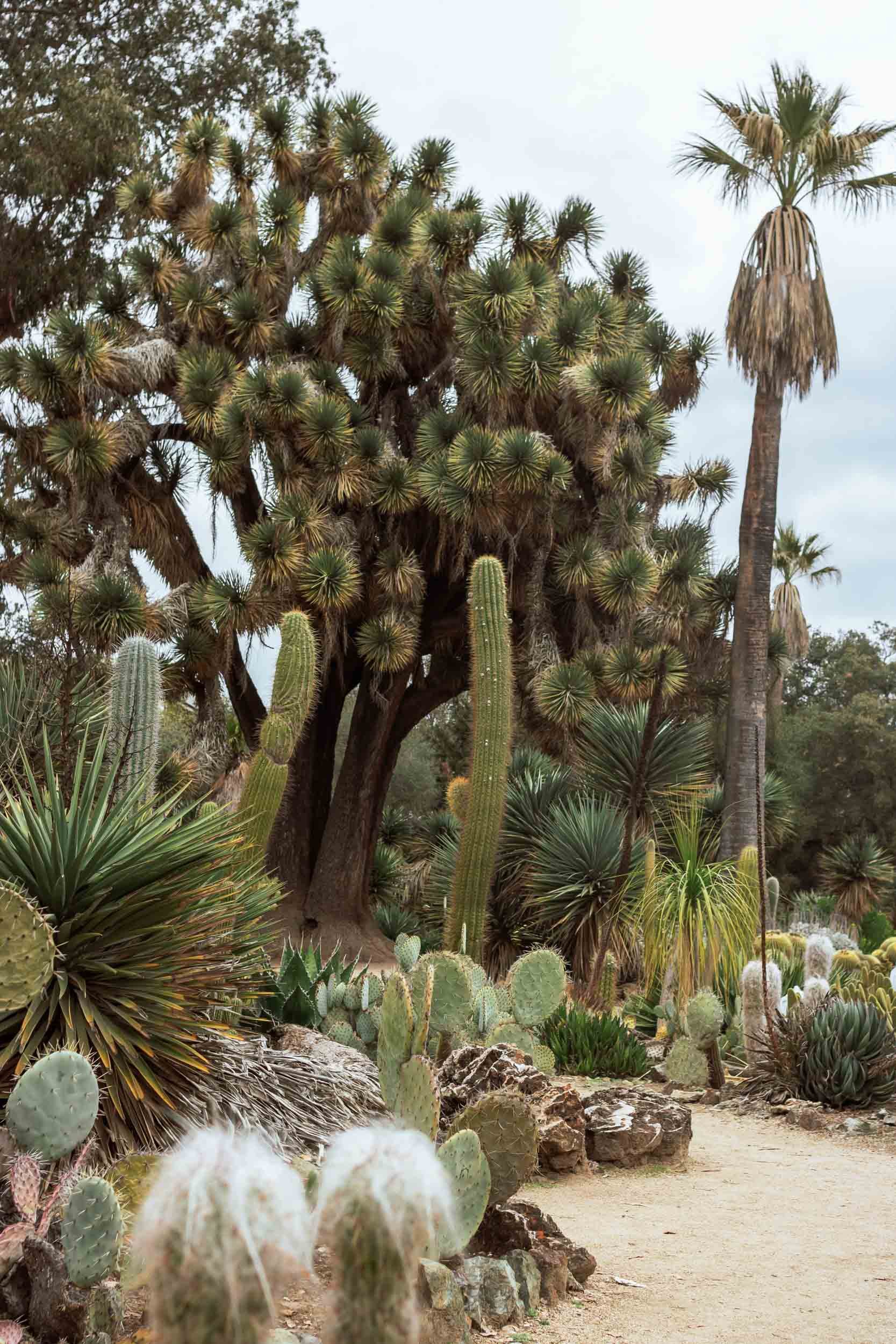 Unique Things to Do in California - Stanford University