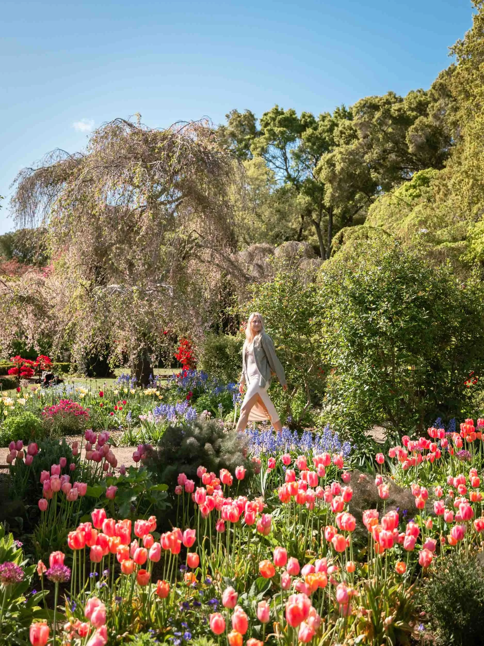 Where to Find Spring Flowers in California