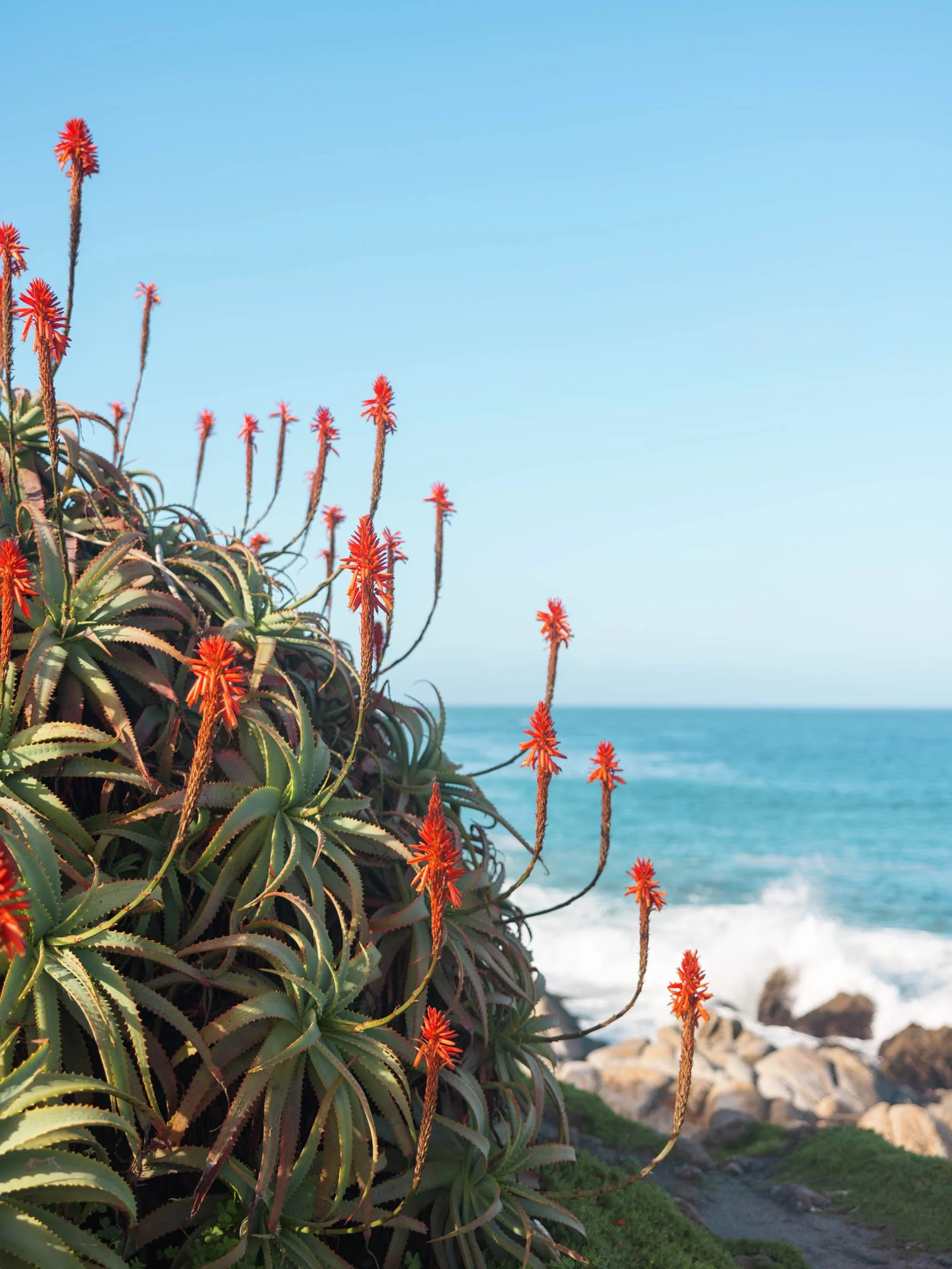How To Spend a Weekend in Pacific Grove, California