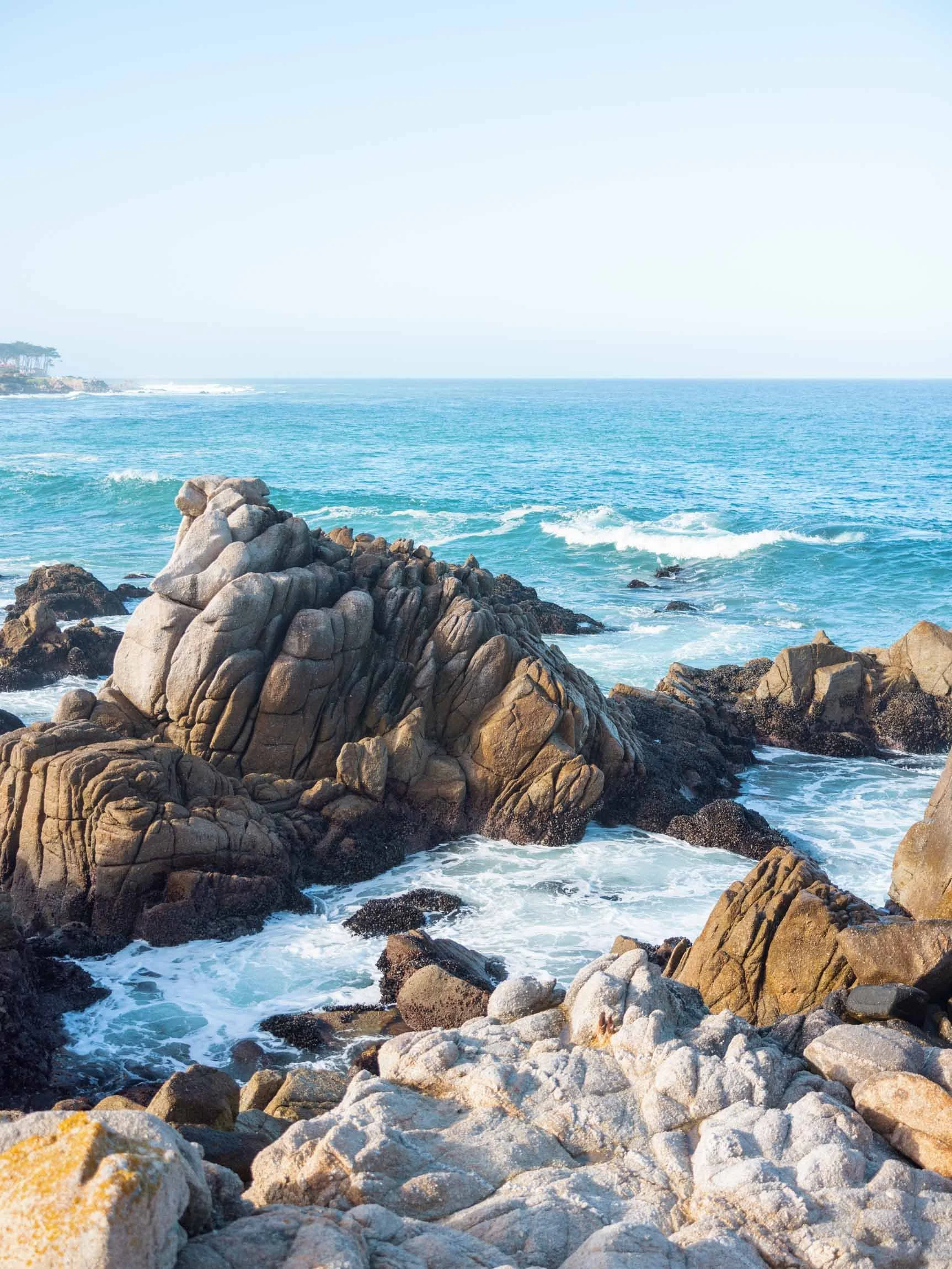 How To Spend a Weekend in Pacific Grove, California