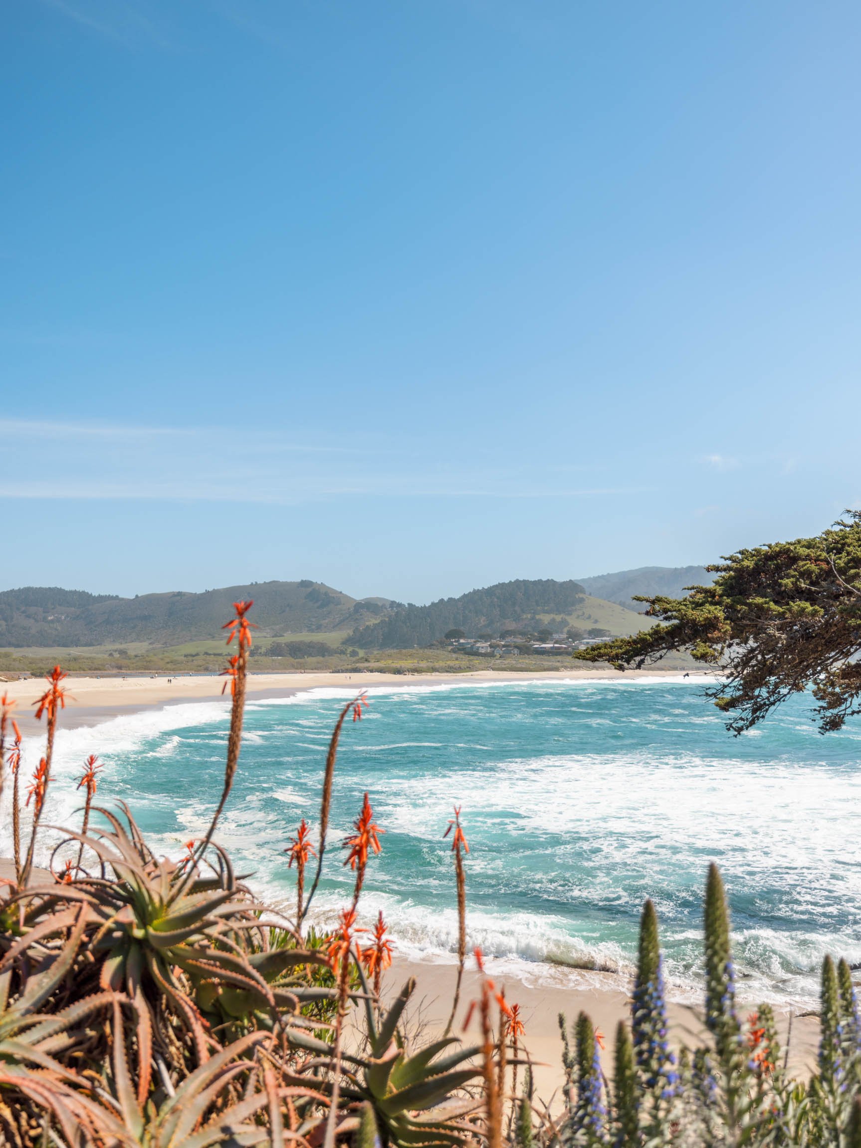 Day Trip To Carmel-by-the-Sea, California - Best Things To Do and See