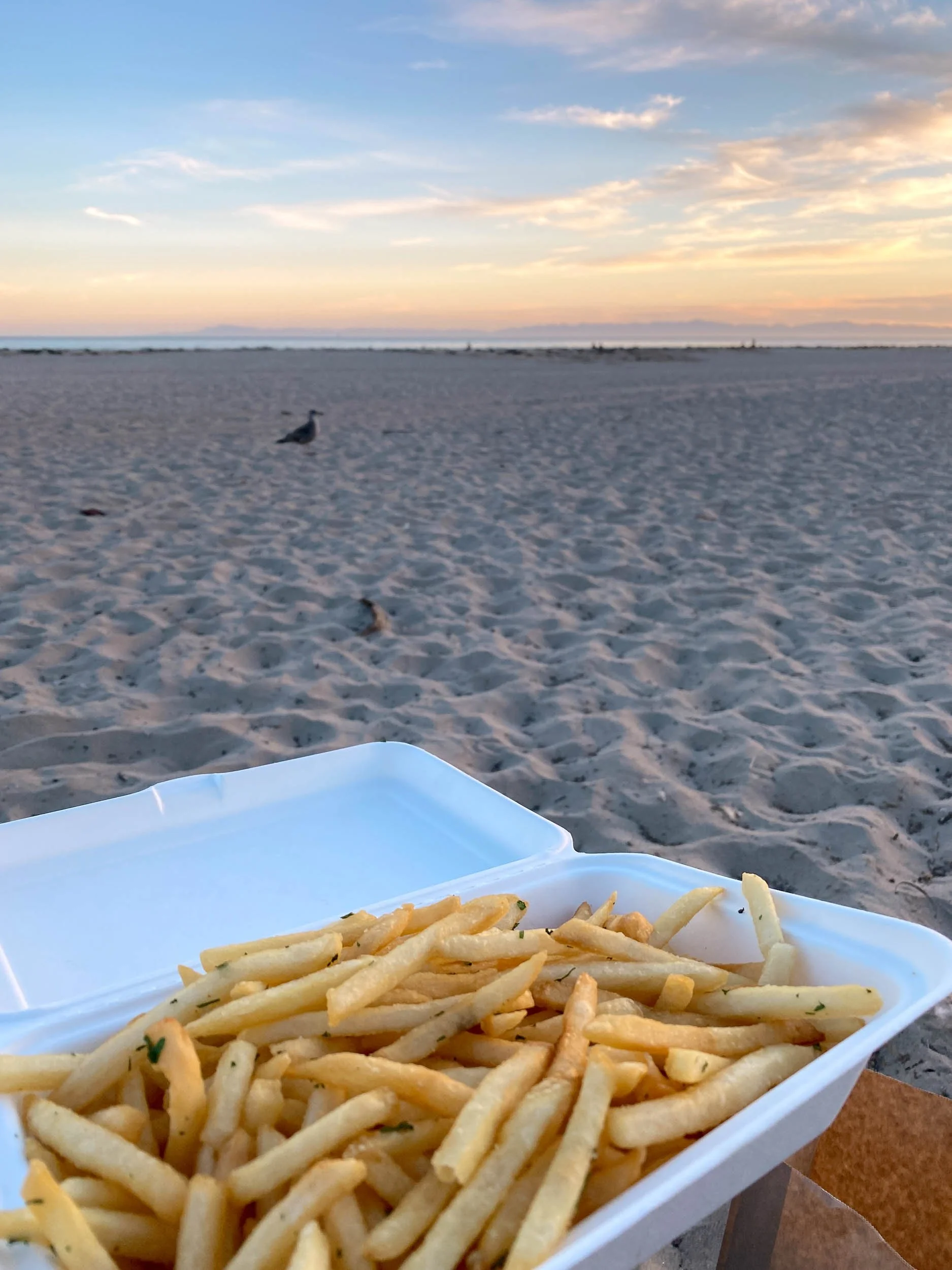 Santa Barbara Day Trip Itinerary