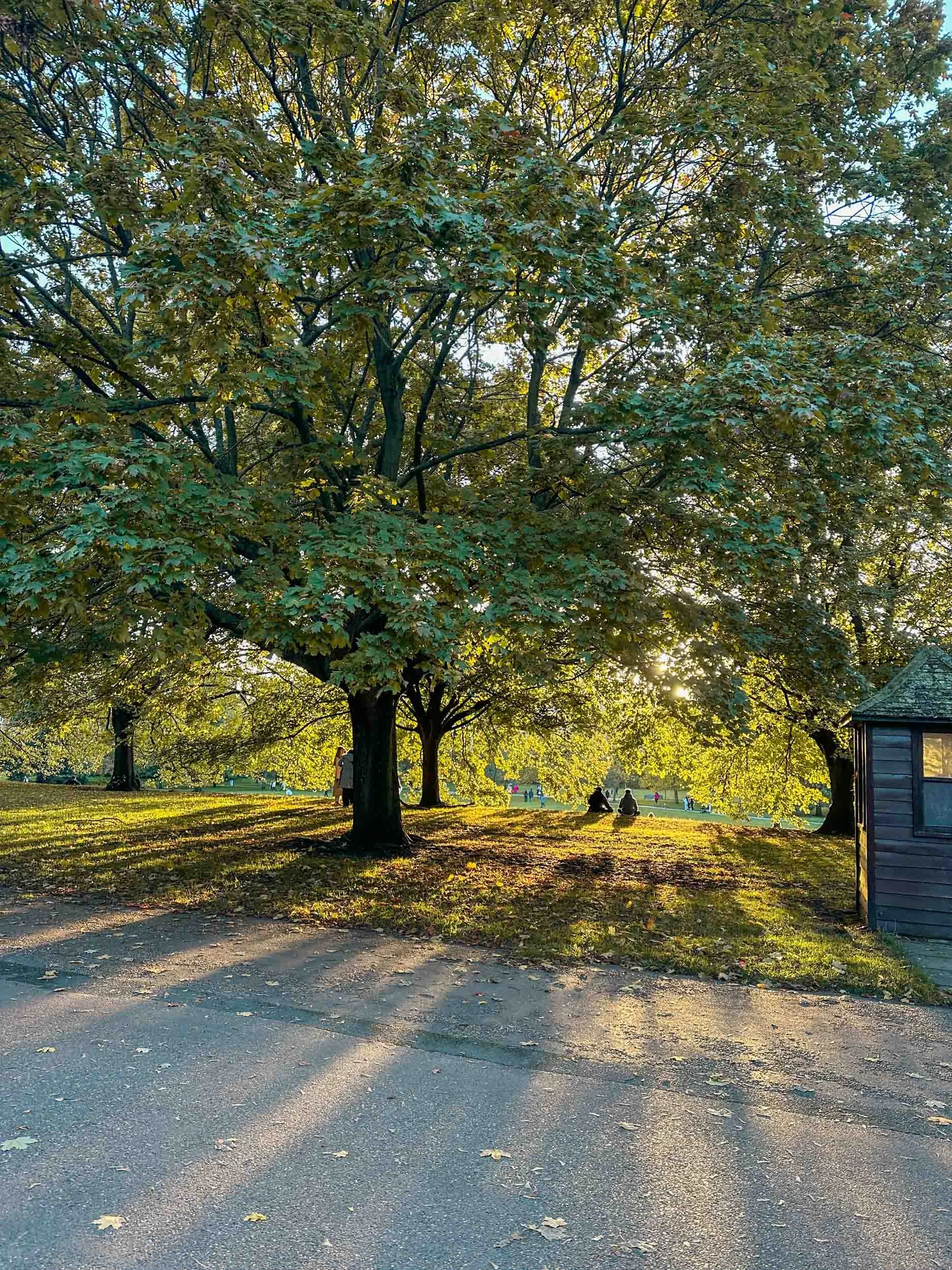 Travel Guide to London for First-Time Visitors