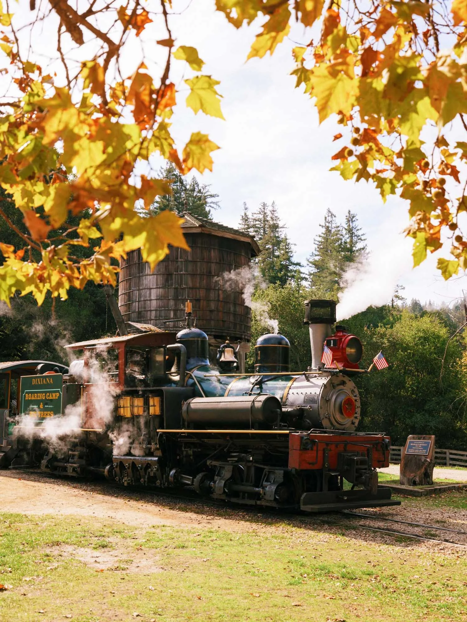 Places To Visit in California During Winter - Roaring Camp