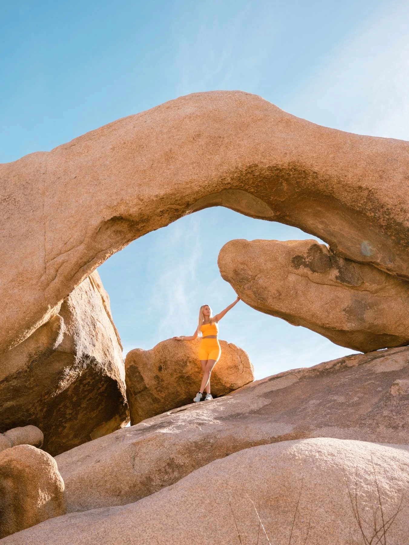 Places To Visit in California During Winter - Joshua Tree