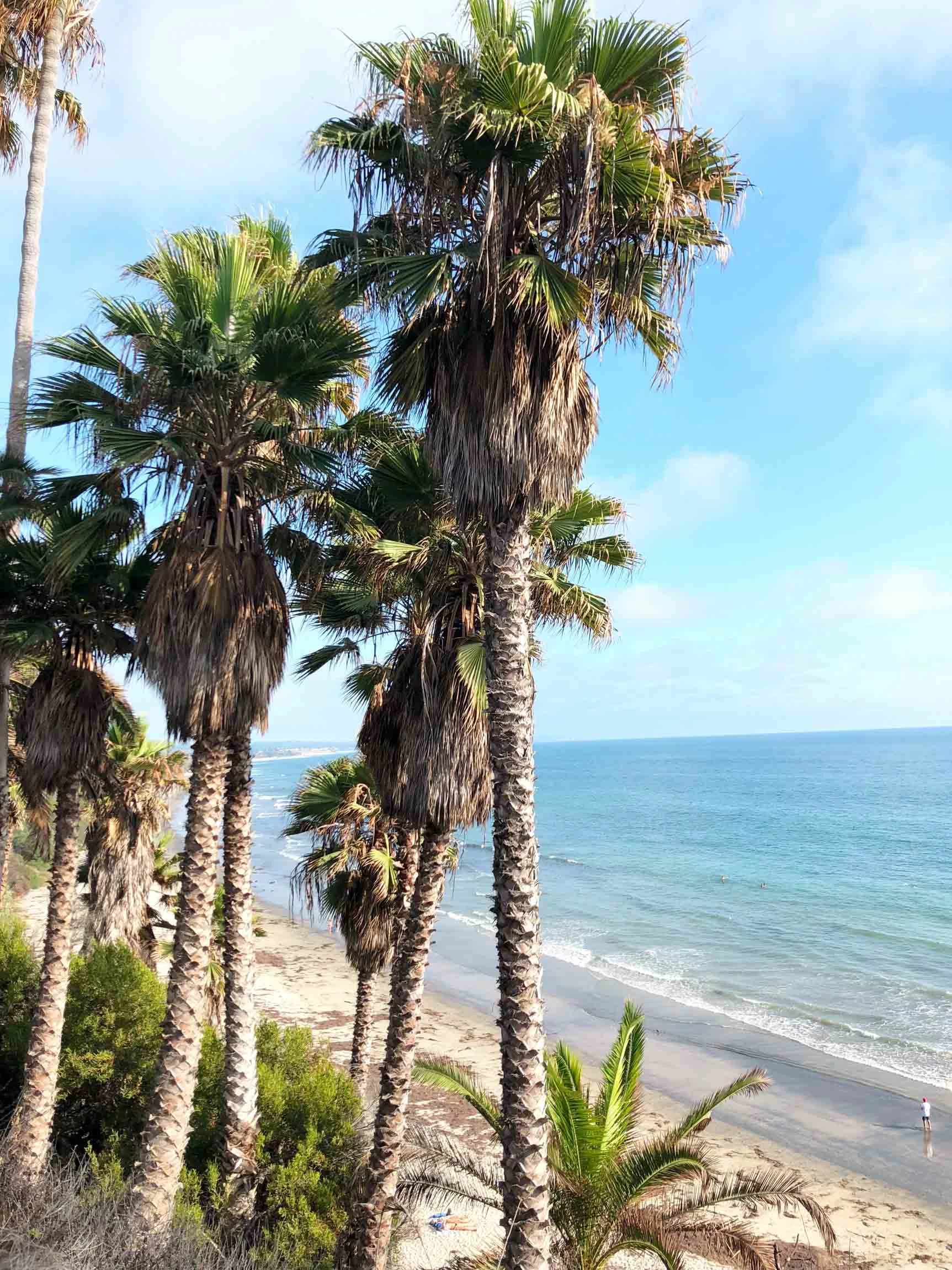 Places To Visit in California During Winter - San Diego