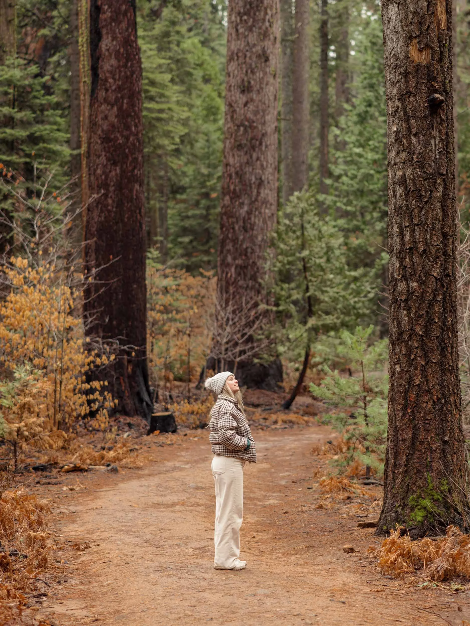18 Places to Visit in California During Winter - Arnold