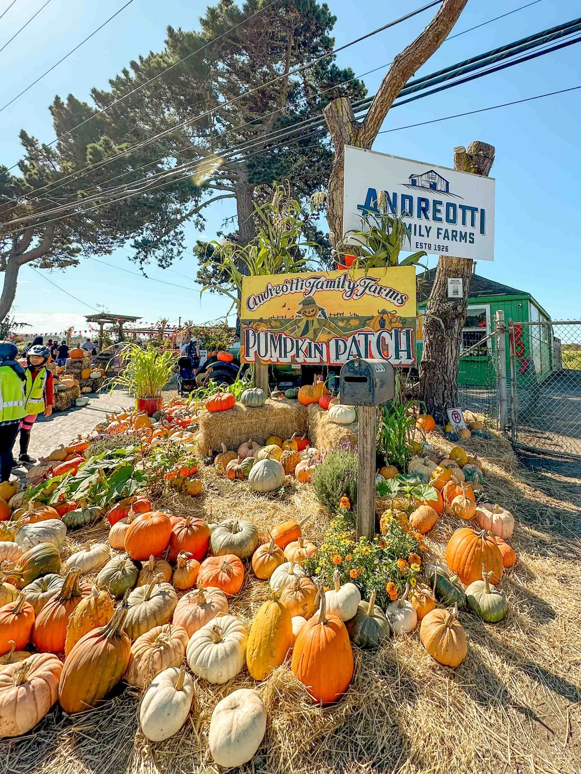 Pumpkin Patches in Half Moon Bay – Andreotti Farms