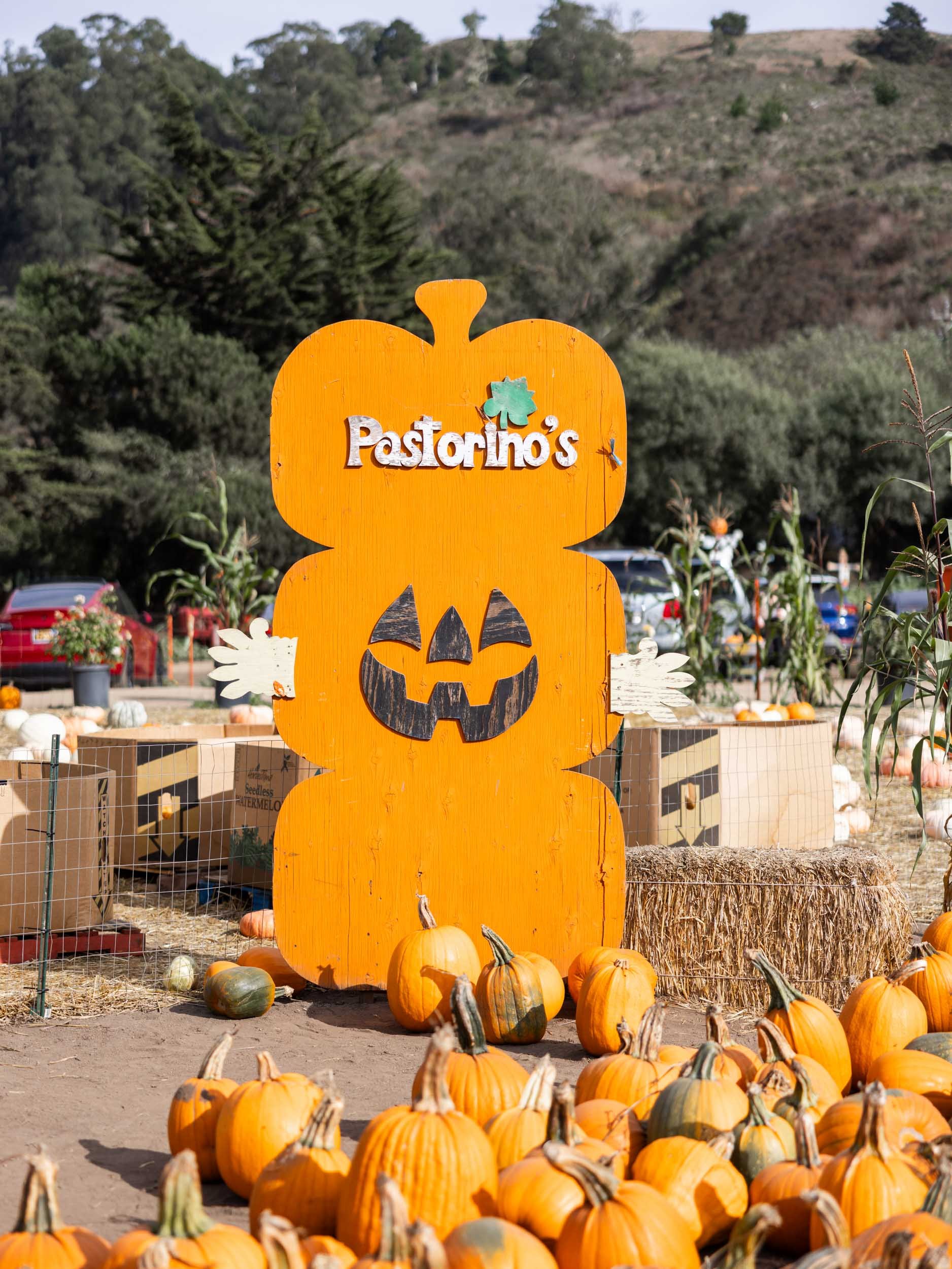 Pumpkin Patches in Half Moon Bay – Pastorino's Pumpkin Farm
