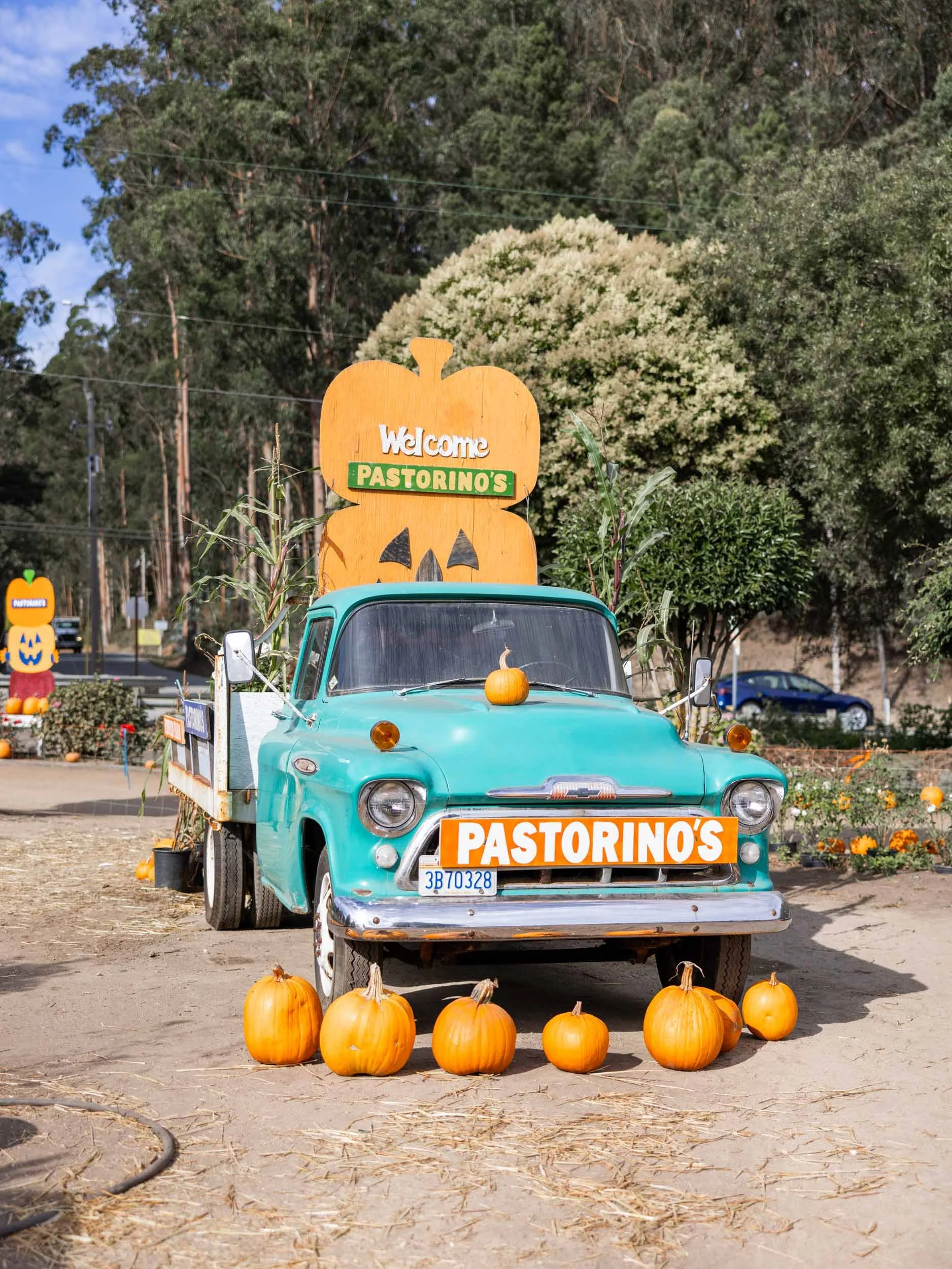 Pumpkin Patches in Half Moon Bay – Pastorino's Pumpkin Farm