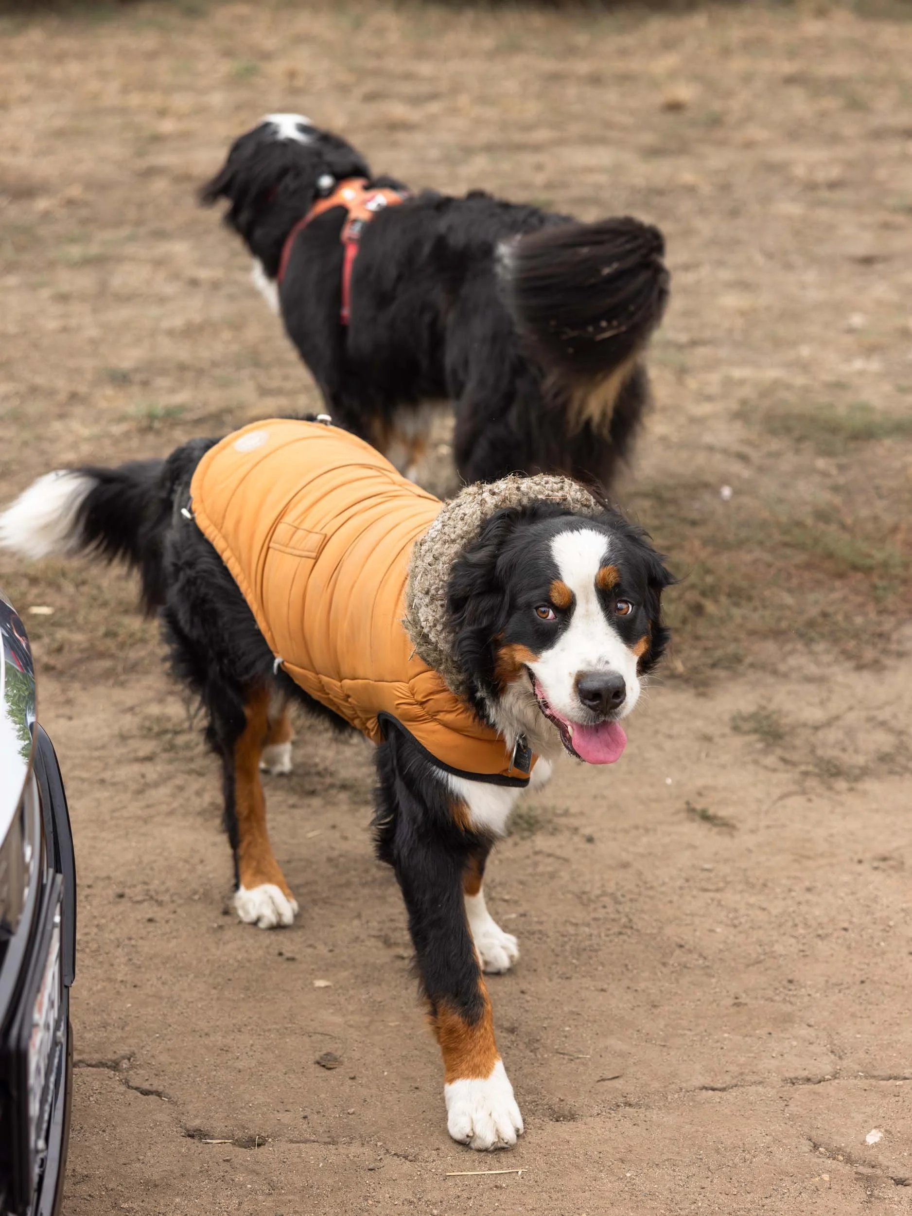 Pumpkin Patches in Half Moon Bay – Farmer John's