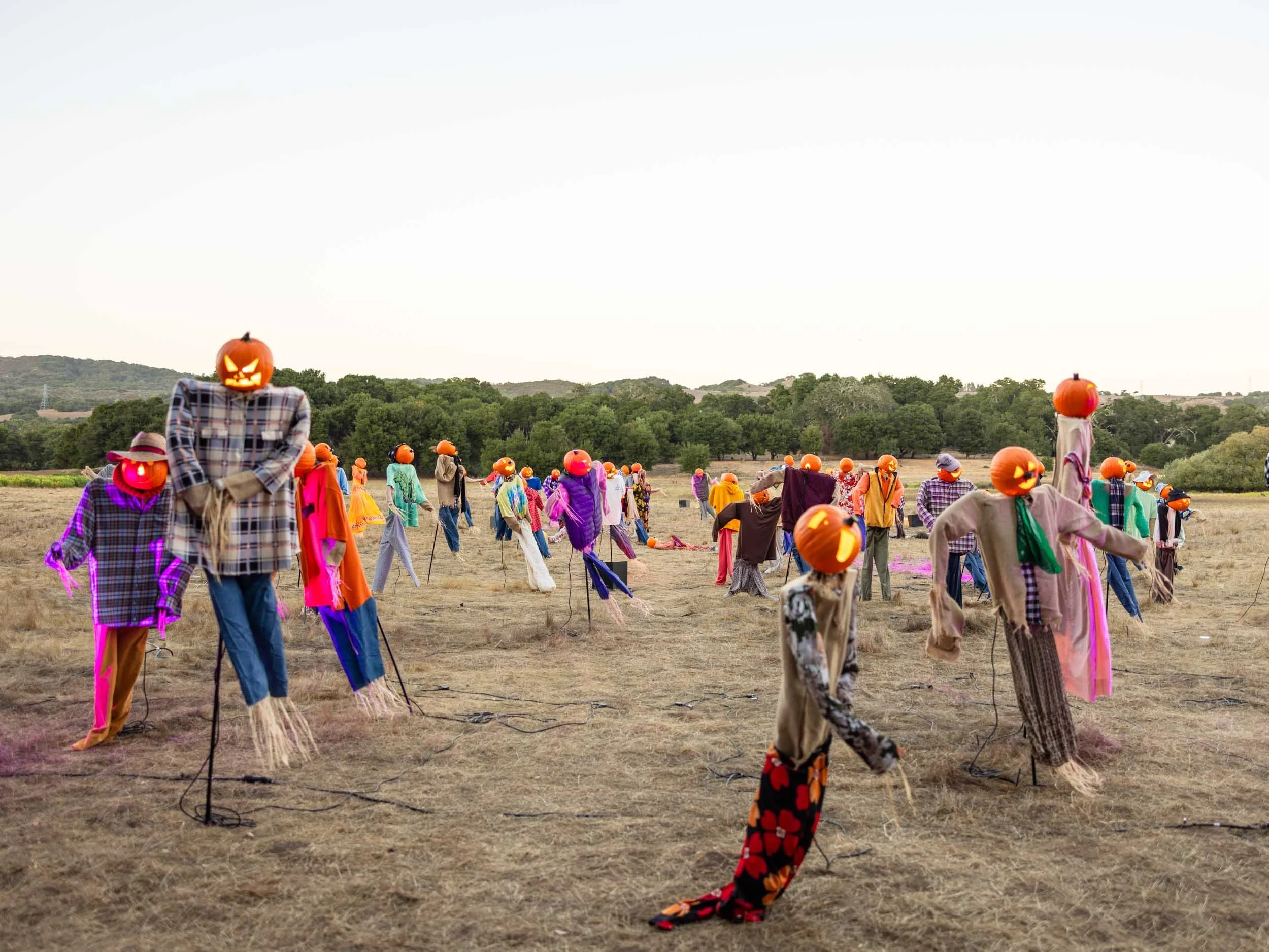 Nightfall at Filoli: A Magical Halloween Event in California