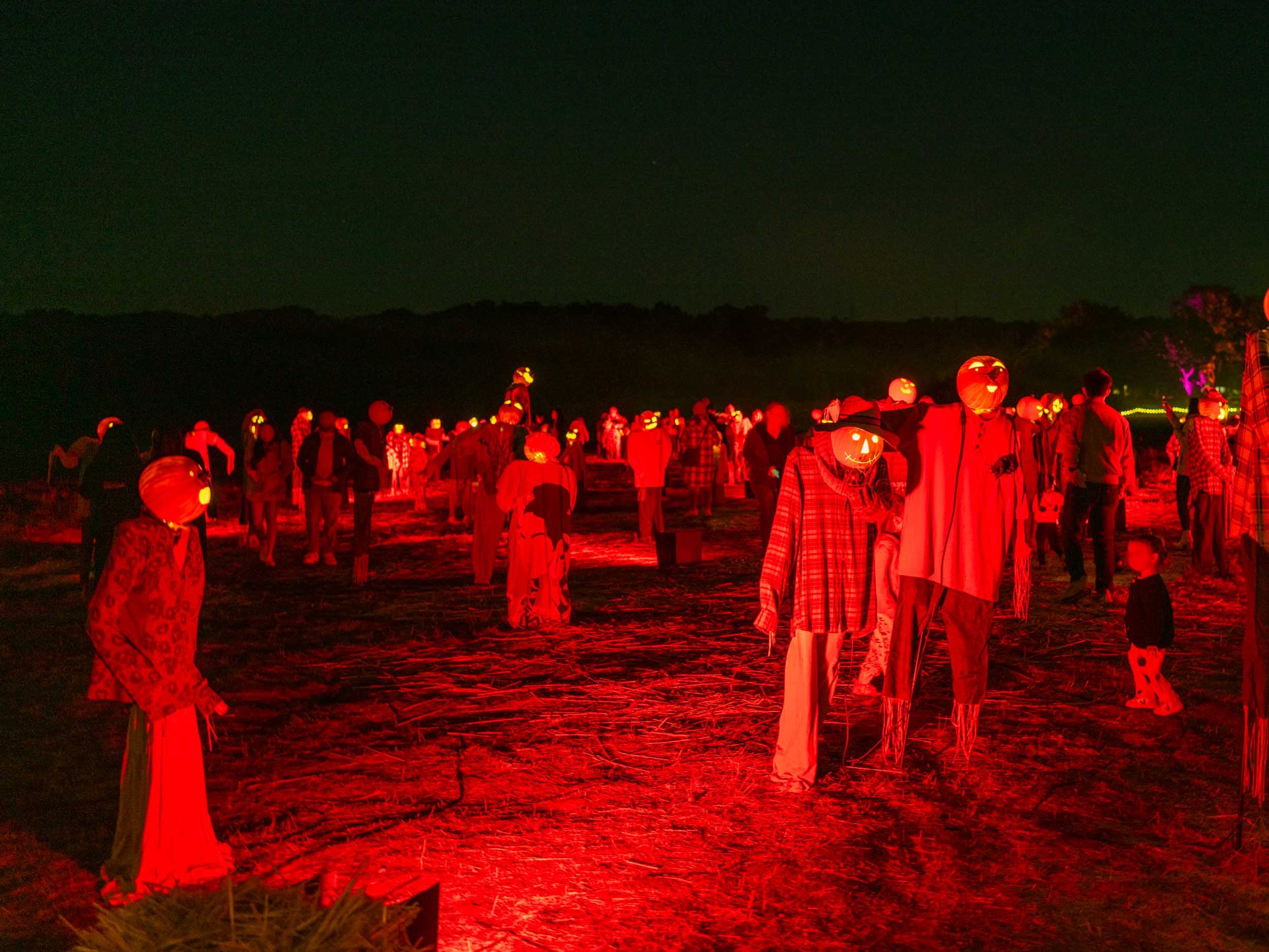 Nightfall at Filoli: A Magical Halloween Event in California