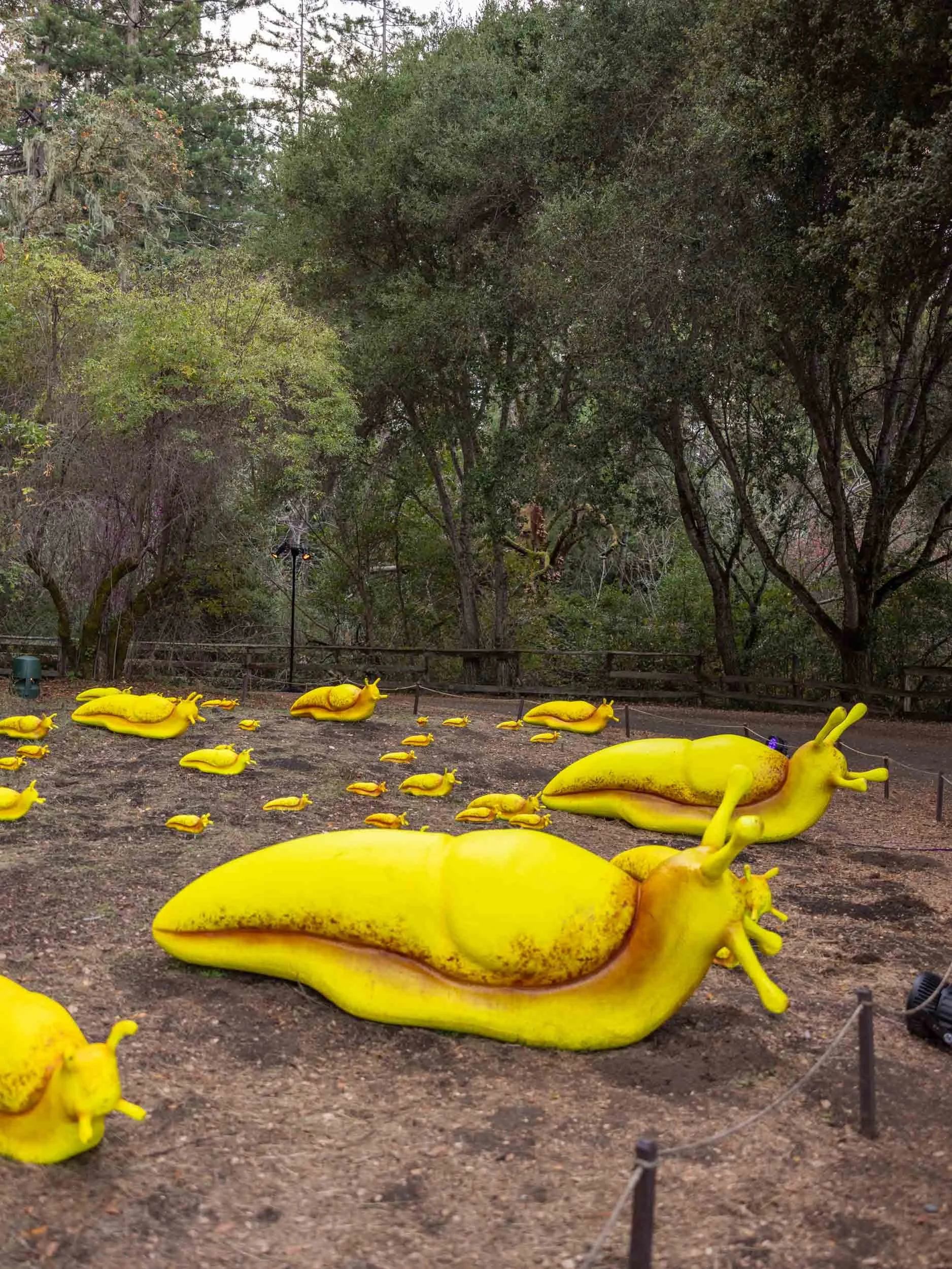 Nightfall at Filoli: A Magical Halloween Event in California