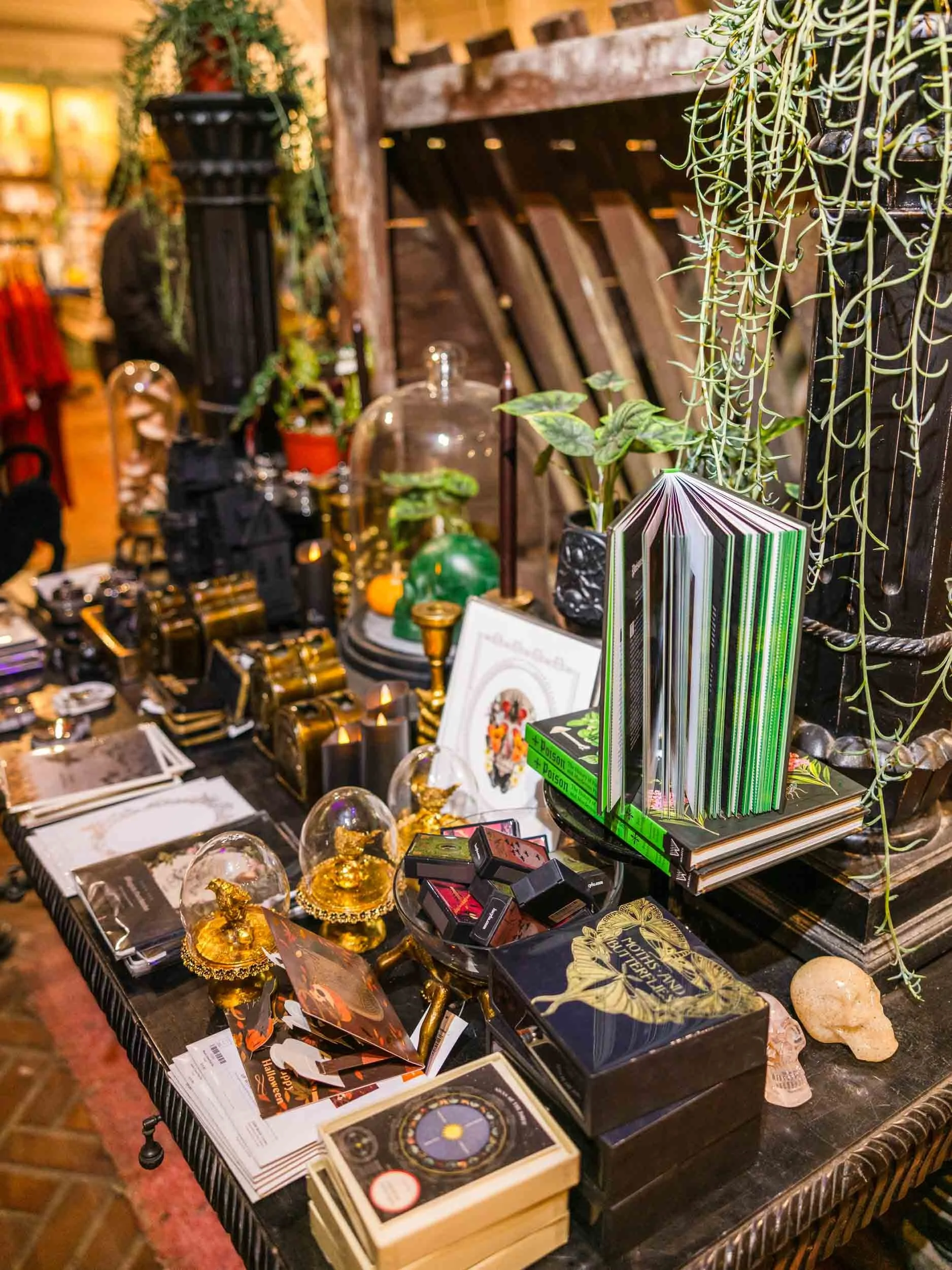 Nightfall at Filoli: A Magical Halloween Event in California