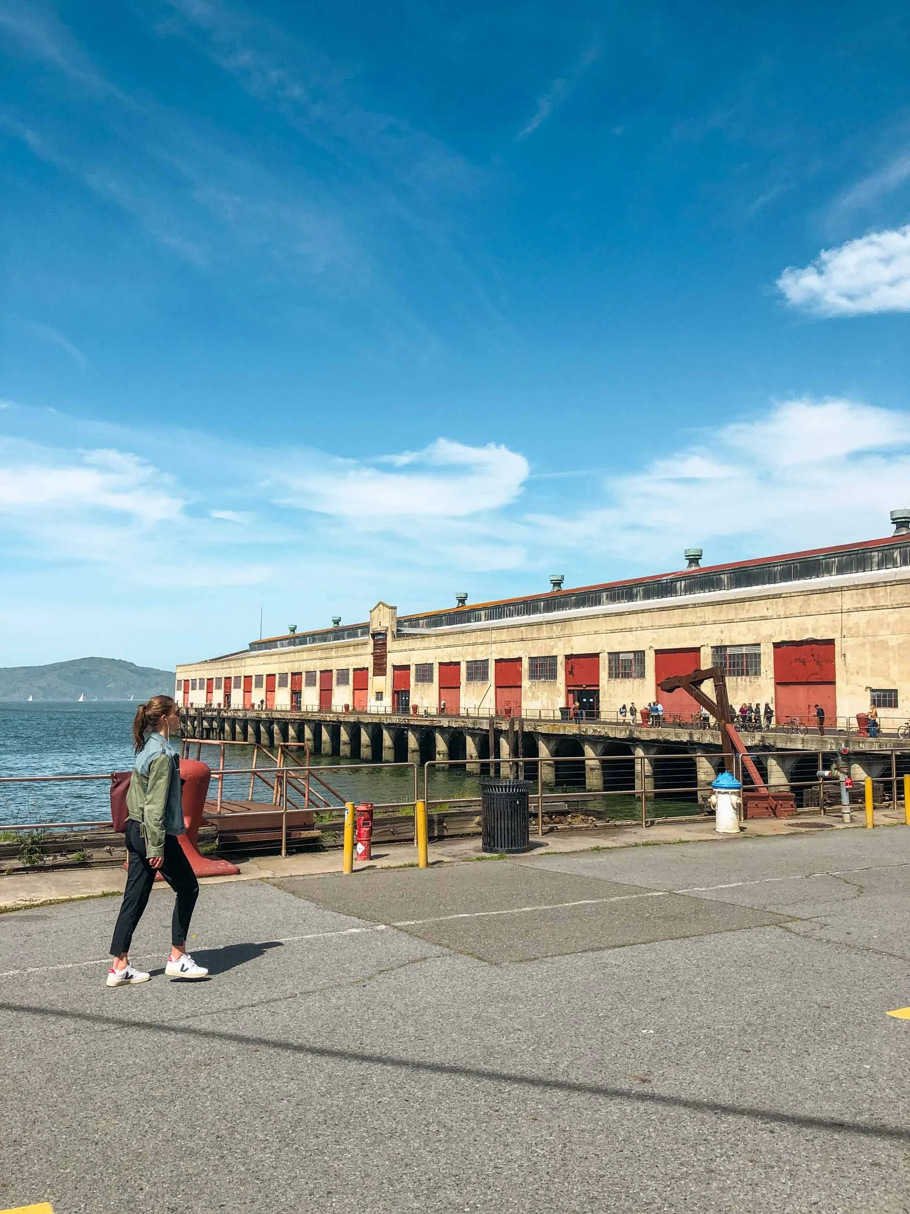 30+ Fun Bay Area Holiday Activities and Events