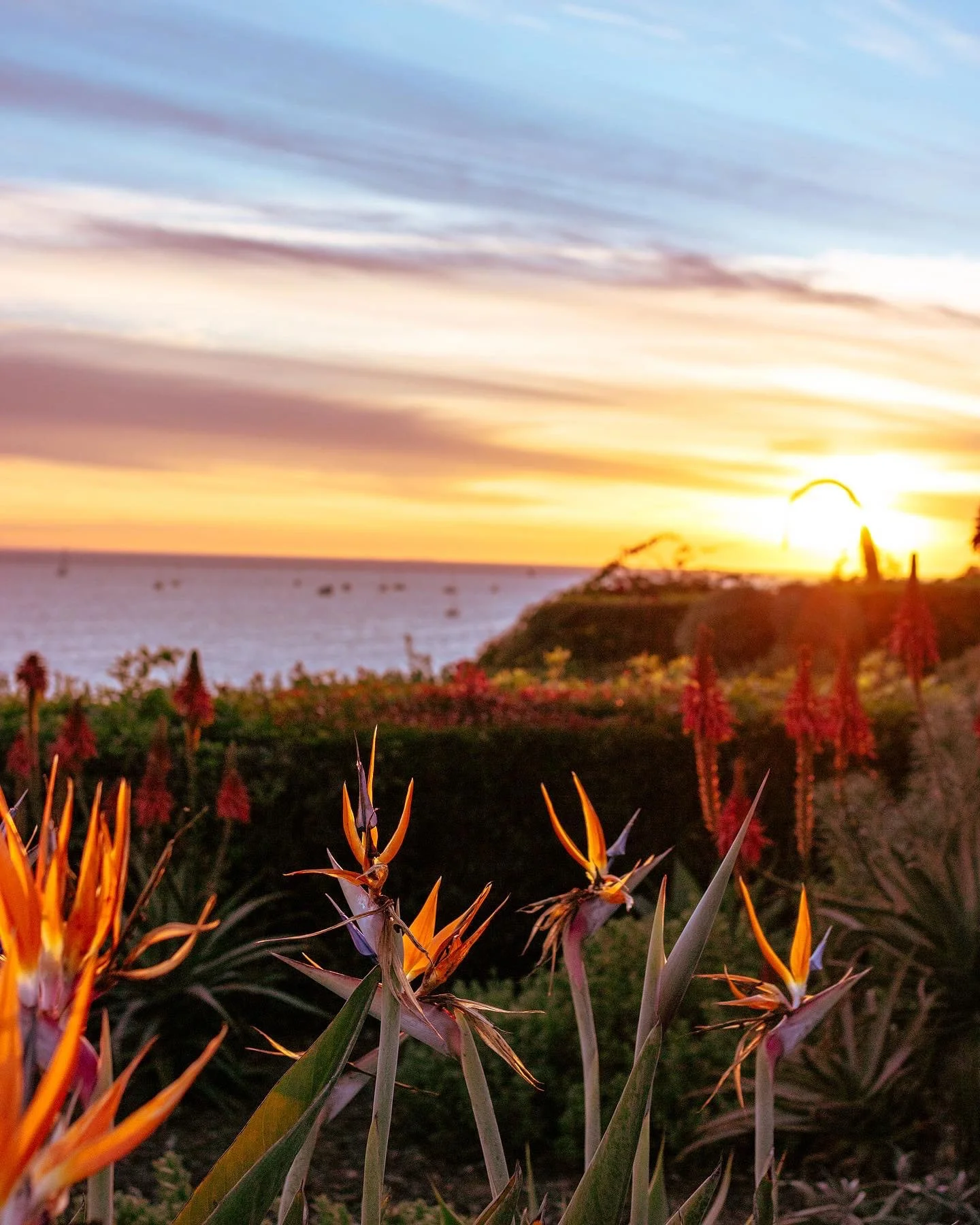Santa Barbara in Winter: Reasons to Visit &amp; Things To Do