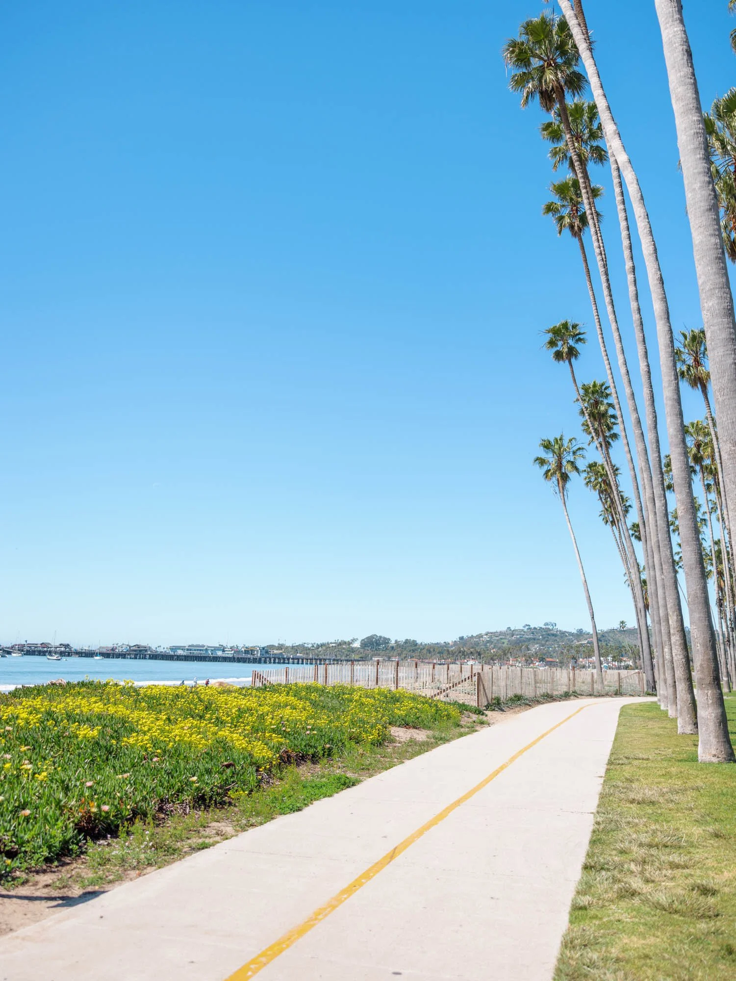 Santa Barbara in Winter: Reasons to Visit &amp; Things To Do