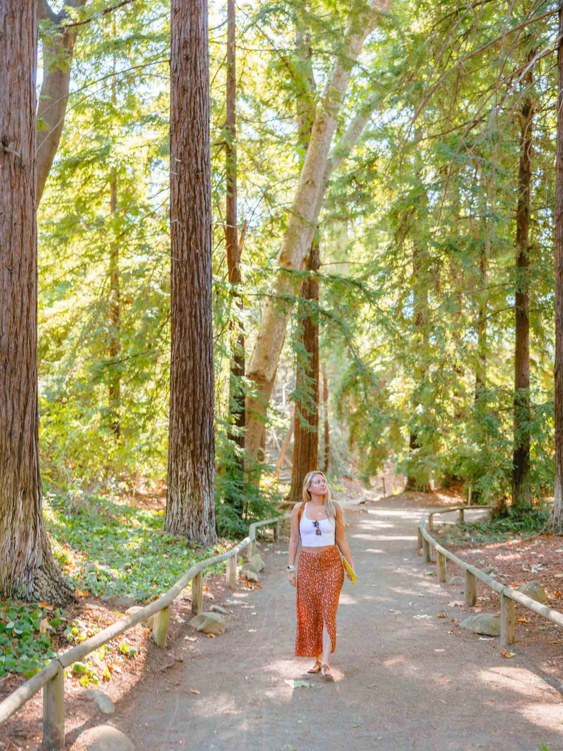 Santa Barbara in Winter: Reasons to Visit &amp; Things To Do