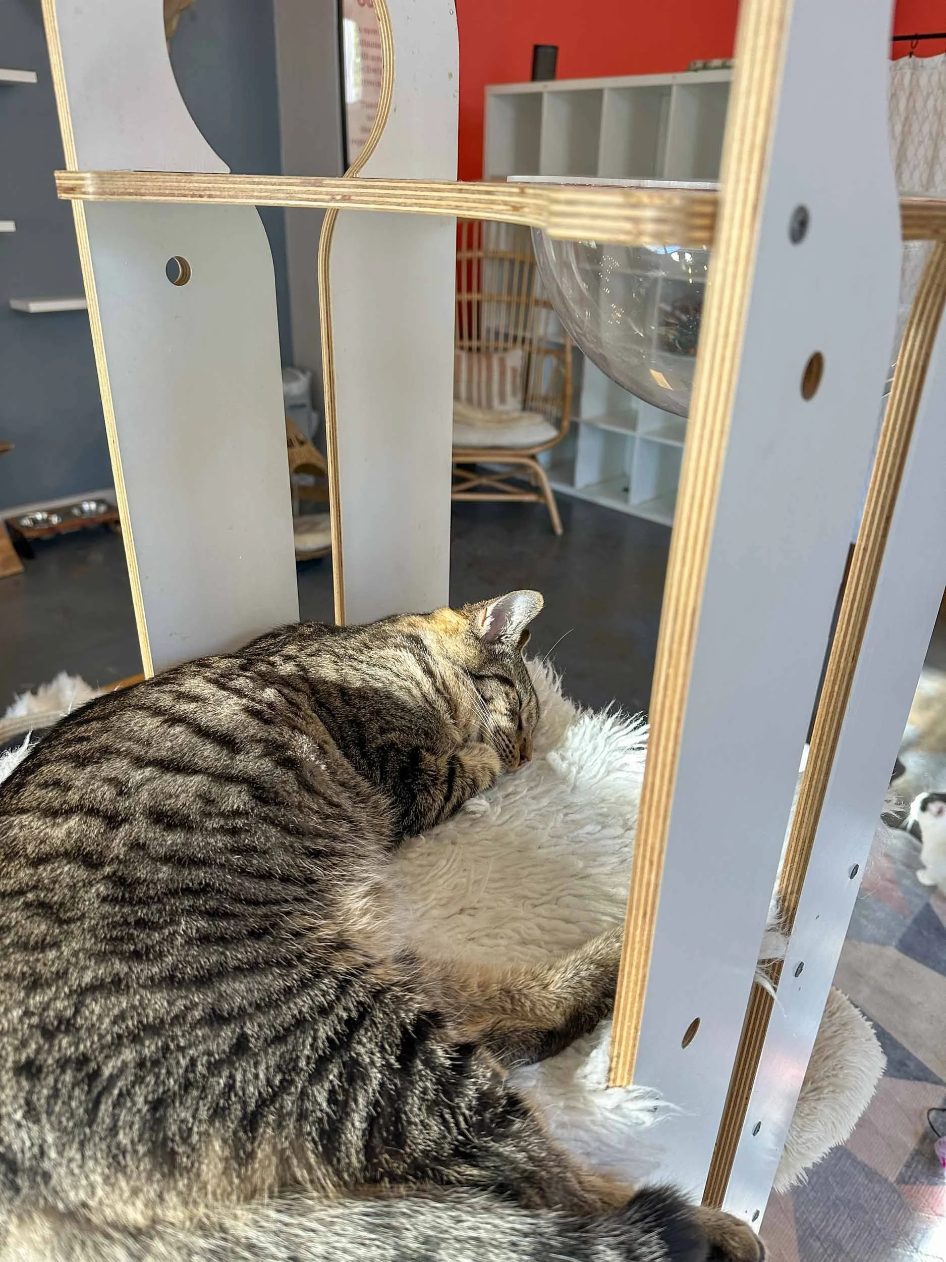 Santa Barbara in Winter: Reasons to Visit &amp; Things To Do