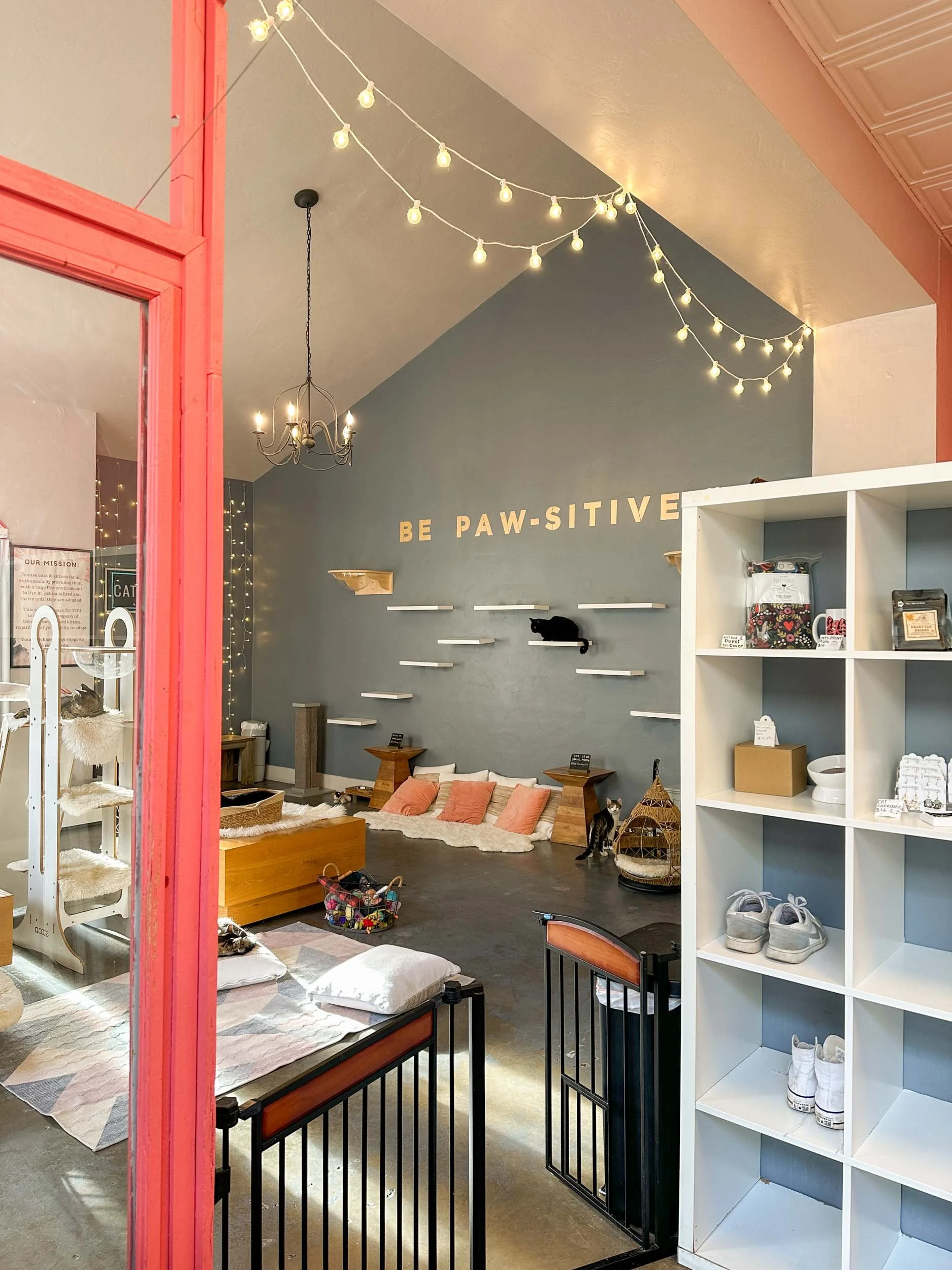 Santa Barbara in Winter: Reasons to Visit &amp; Things To Do