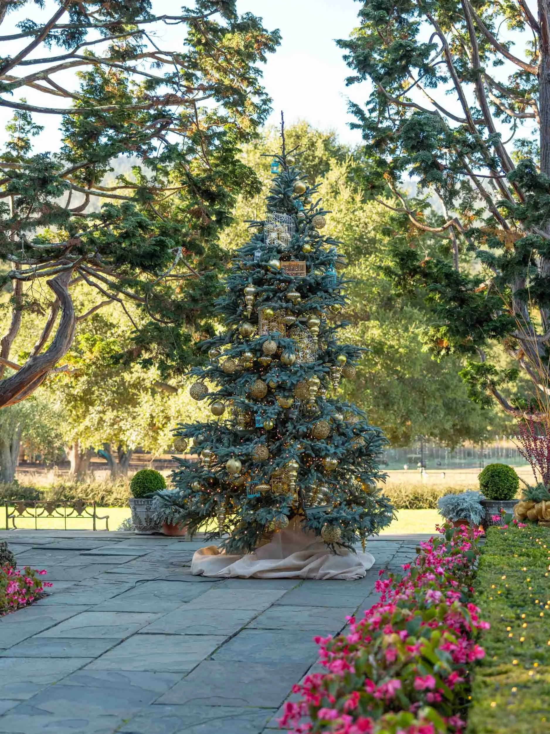 Holidays at Filoli —&nbsp;Gilded