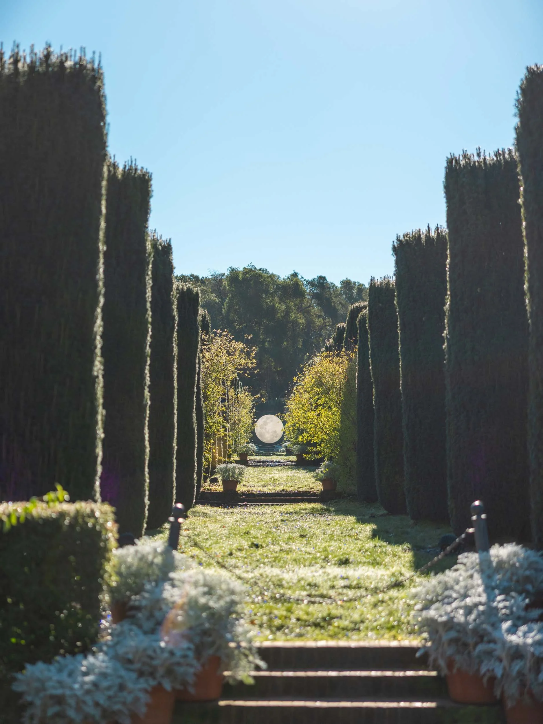 Holidays at Filoli —&nbsp;Gilded