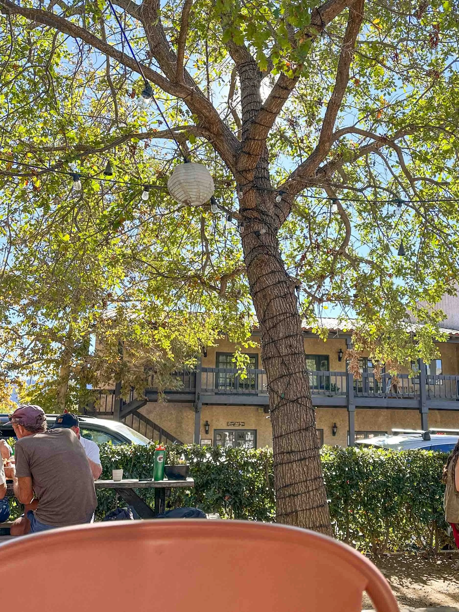 Ojai Day Trip Itinerary: Best Things To Do in One Day