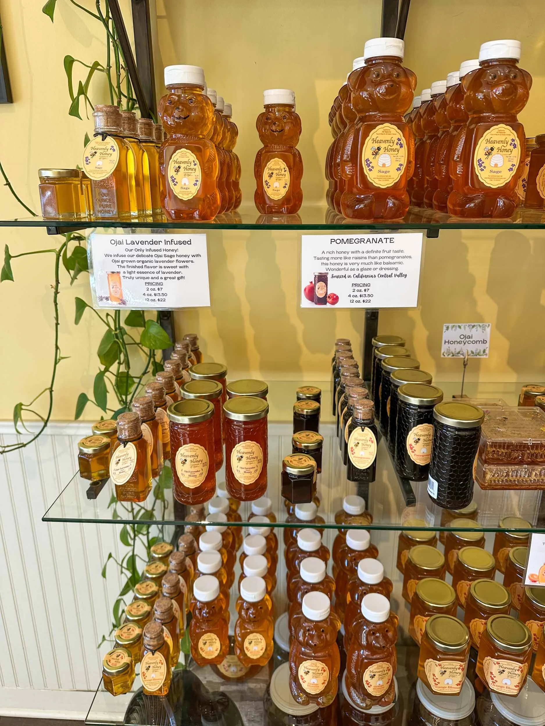 Ojai Day Trip Itinerary: Best Things To Do in One Day