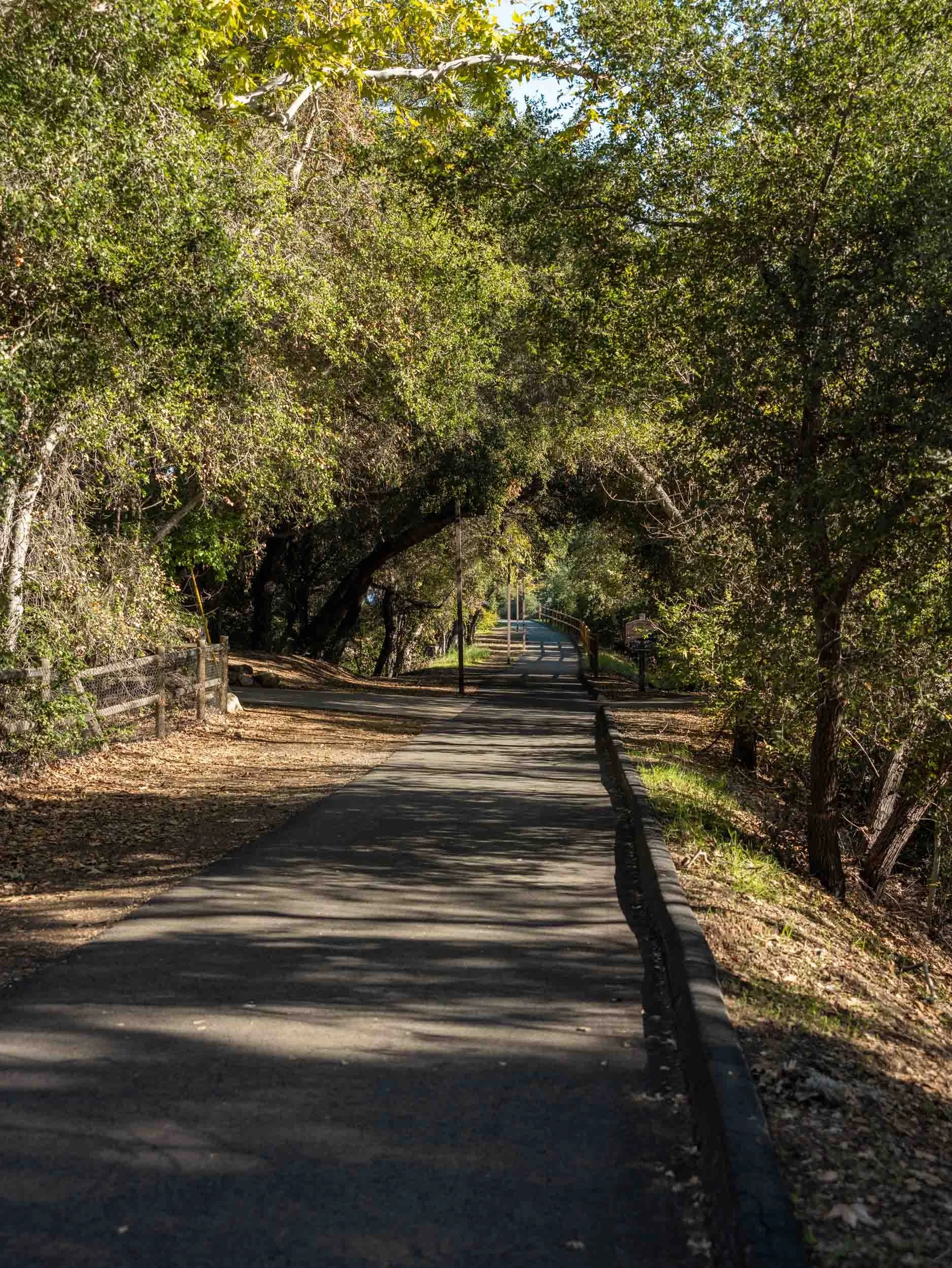 Ojai Day Trip Itinerary: Best Things To Do in One Day