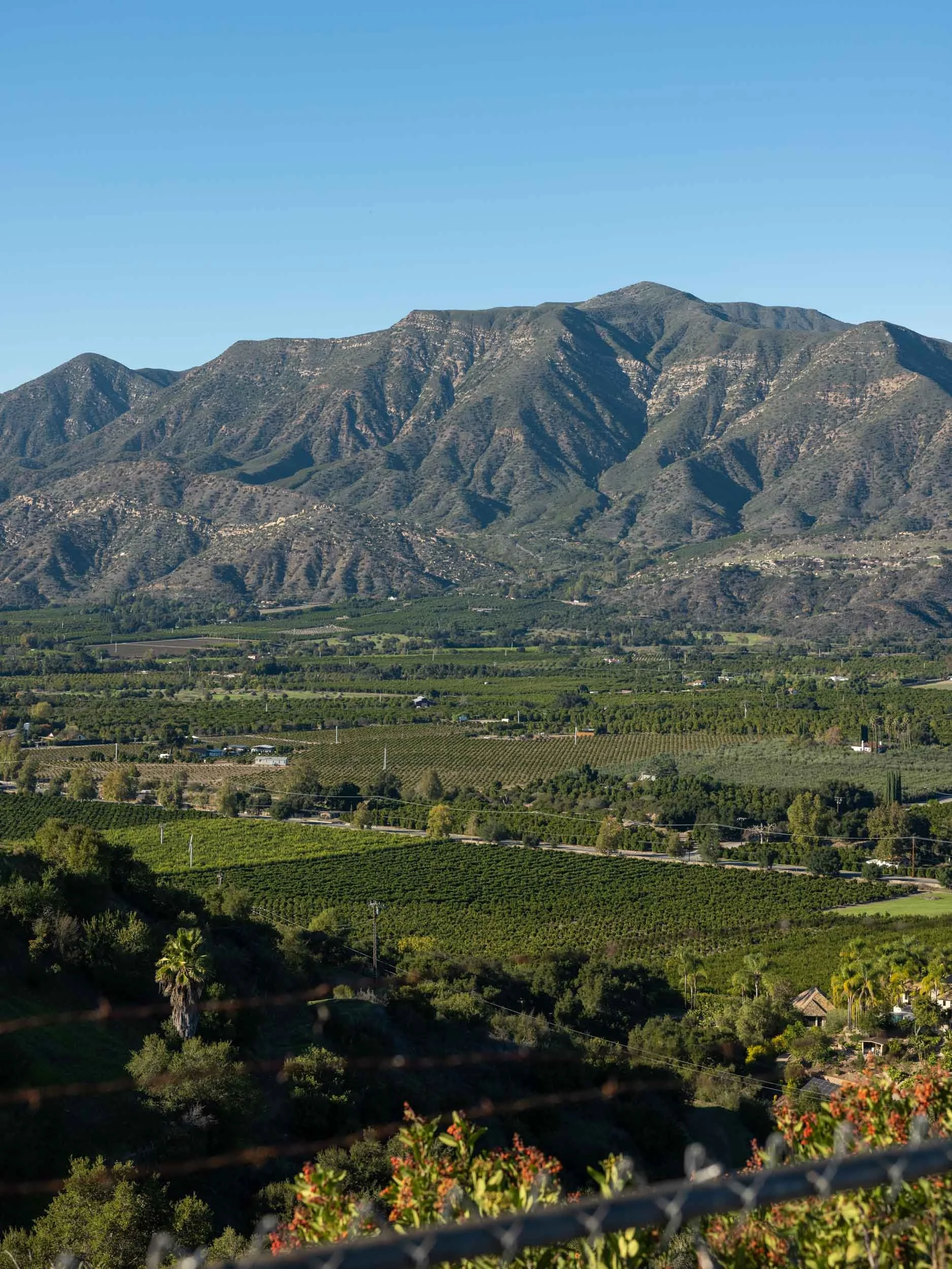 Ojai Day Trip Itinerary: Best Things To Do in One Day