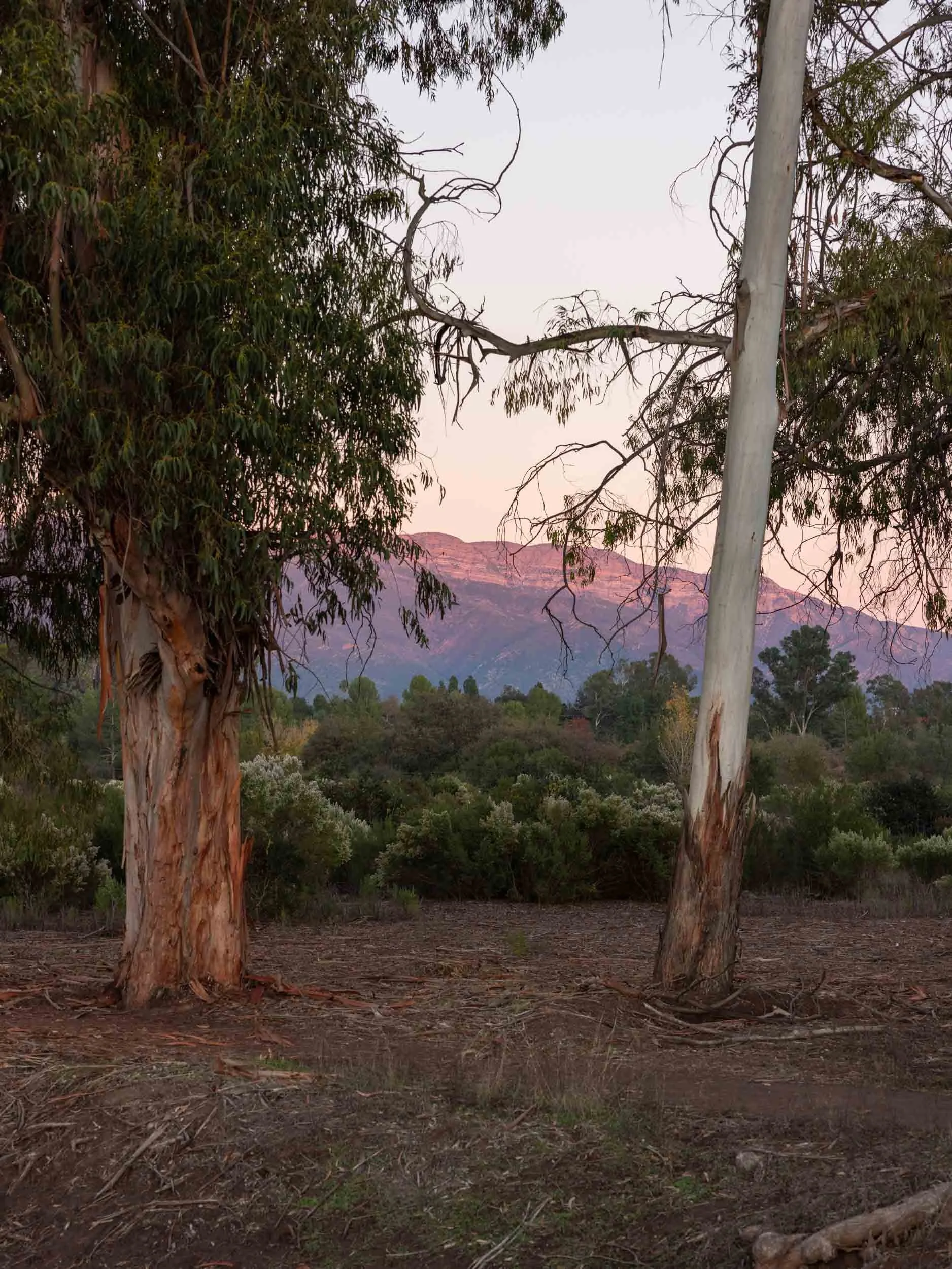 Ojai Day Trip Itinerary: Best Things To Do in One Day