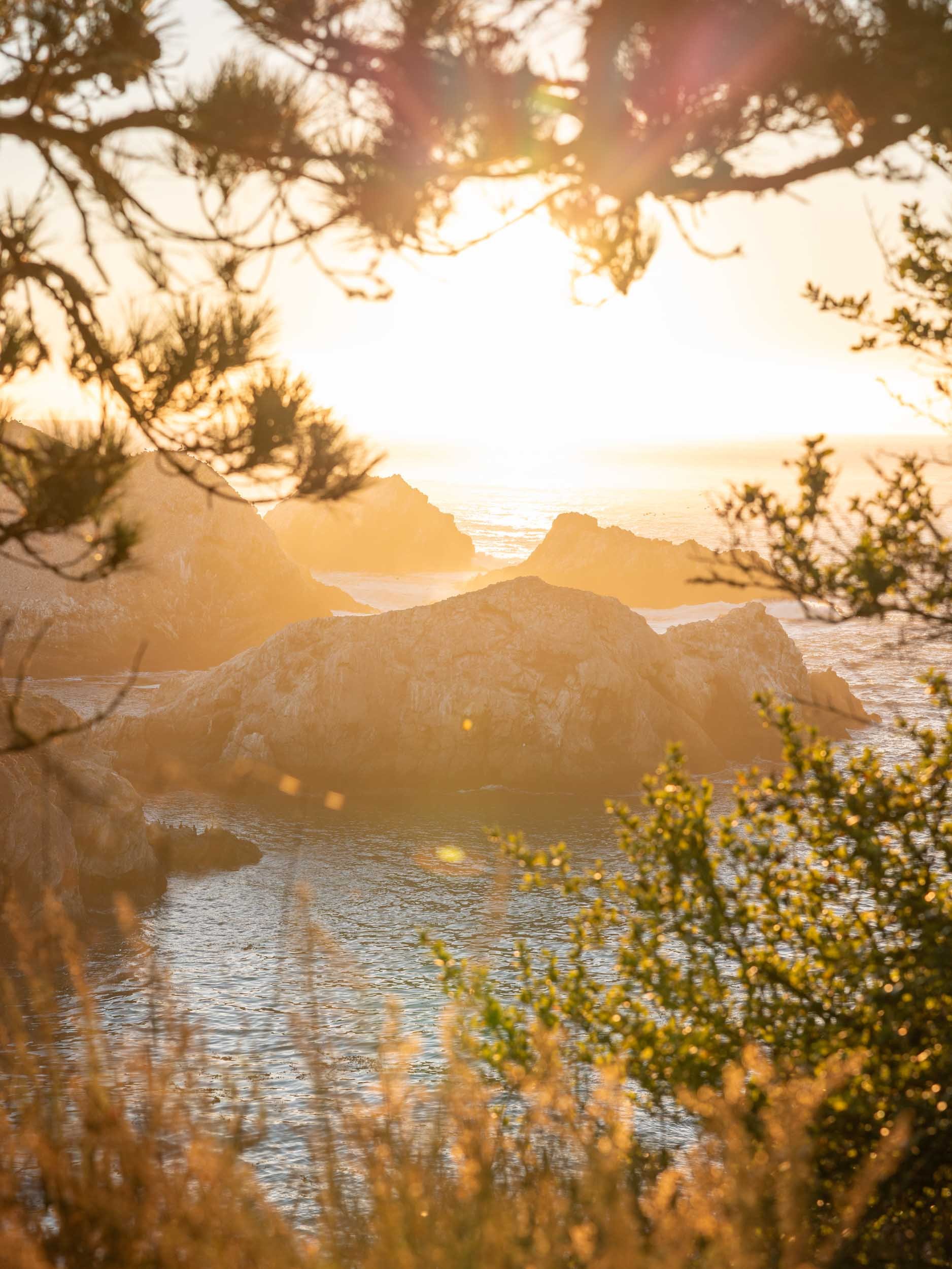 Things To Do in Carmel-by-the-Sea, California