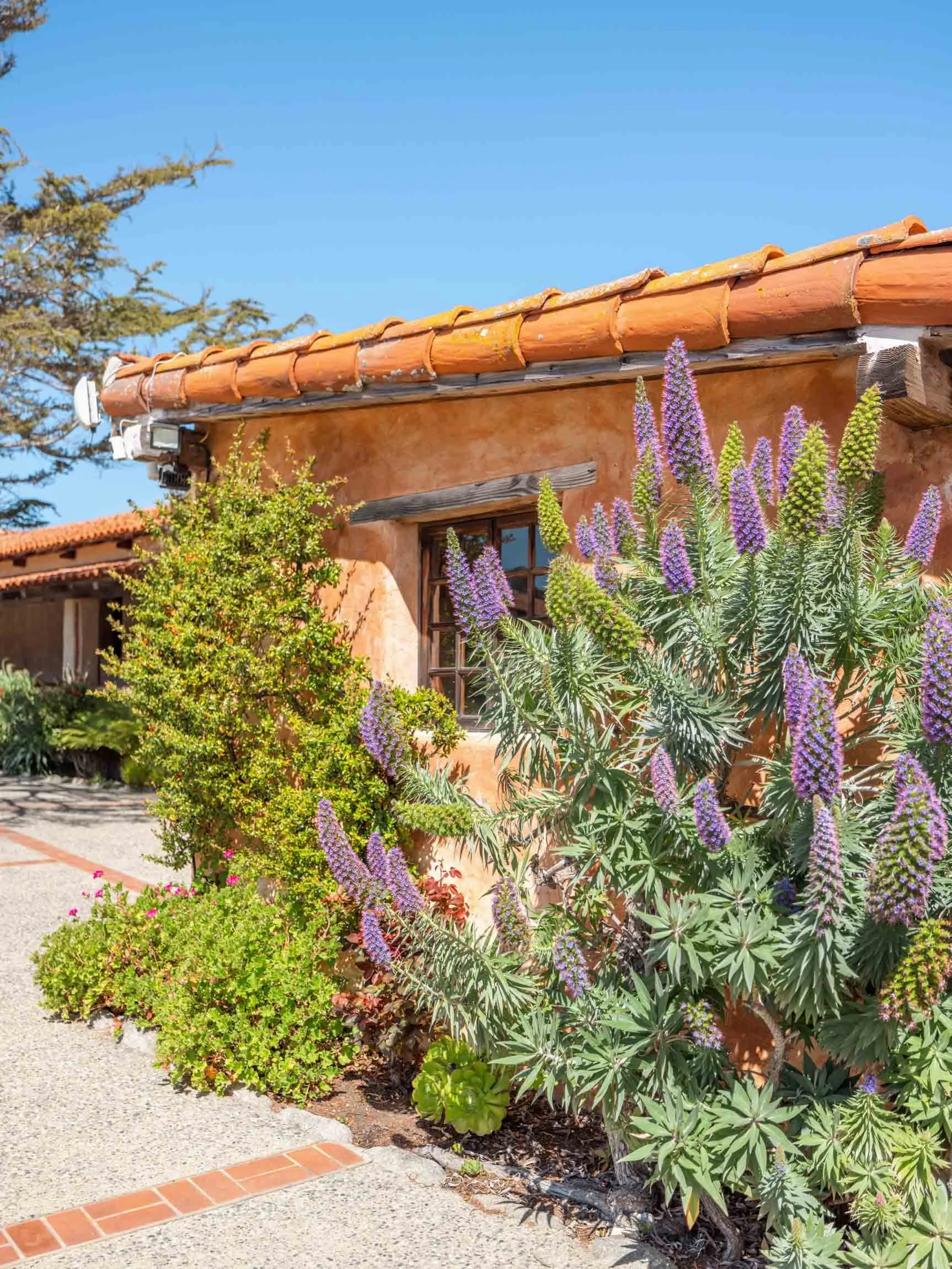 15 Things To Do in Carmel-by-the-Sea, California