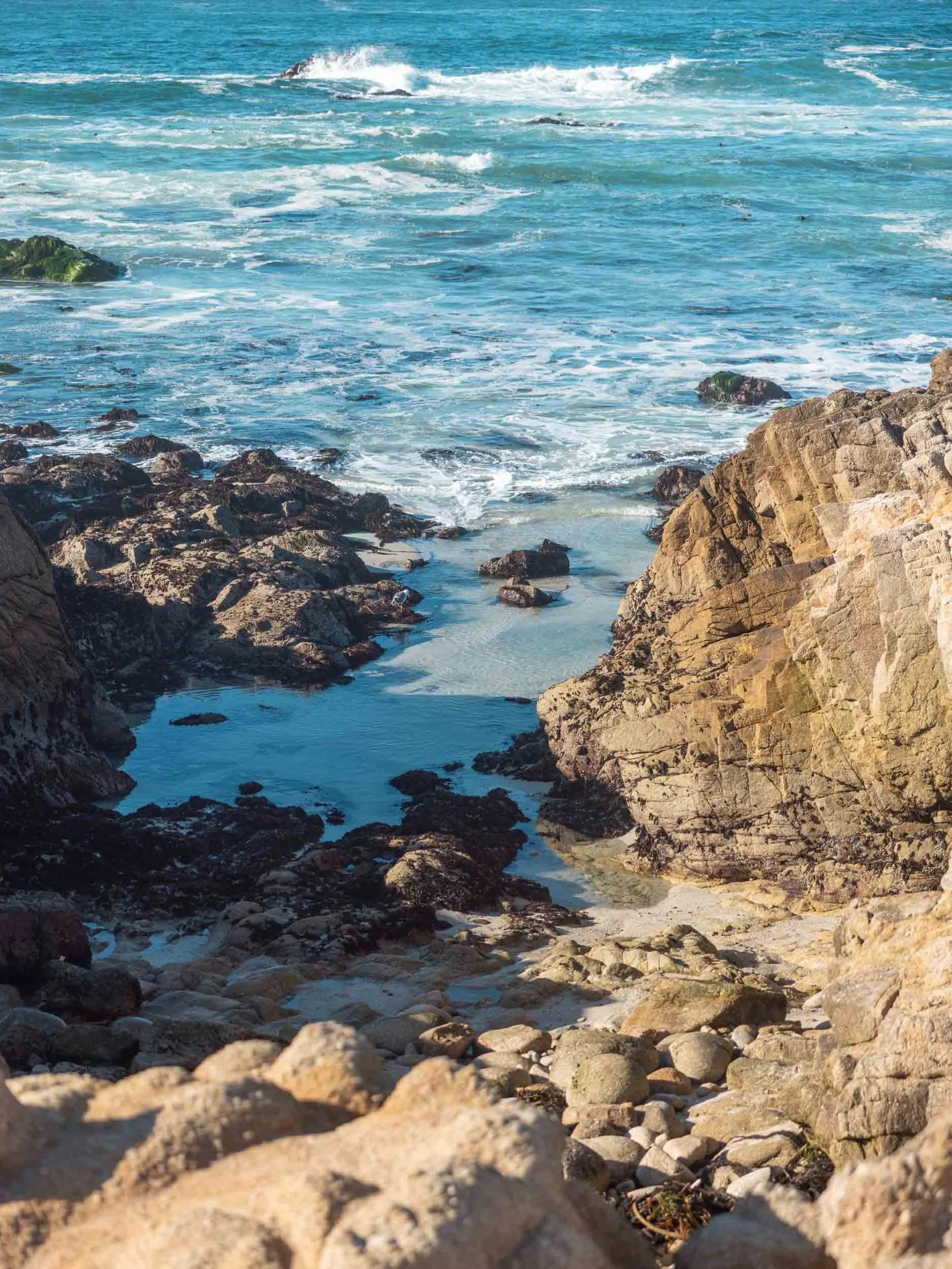 Blog_Carmel_11_2025-8842.jpg