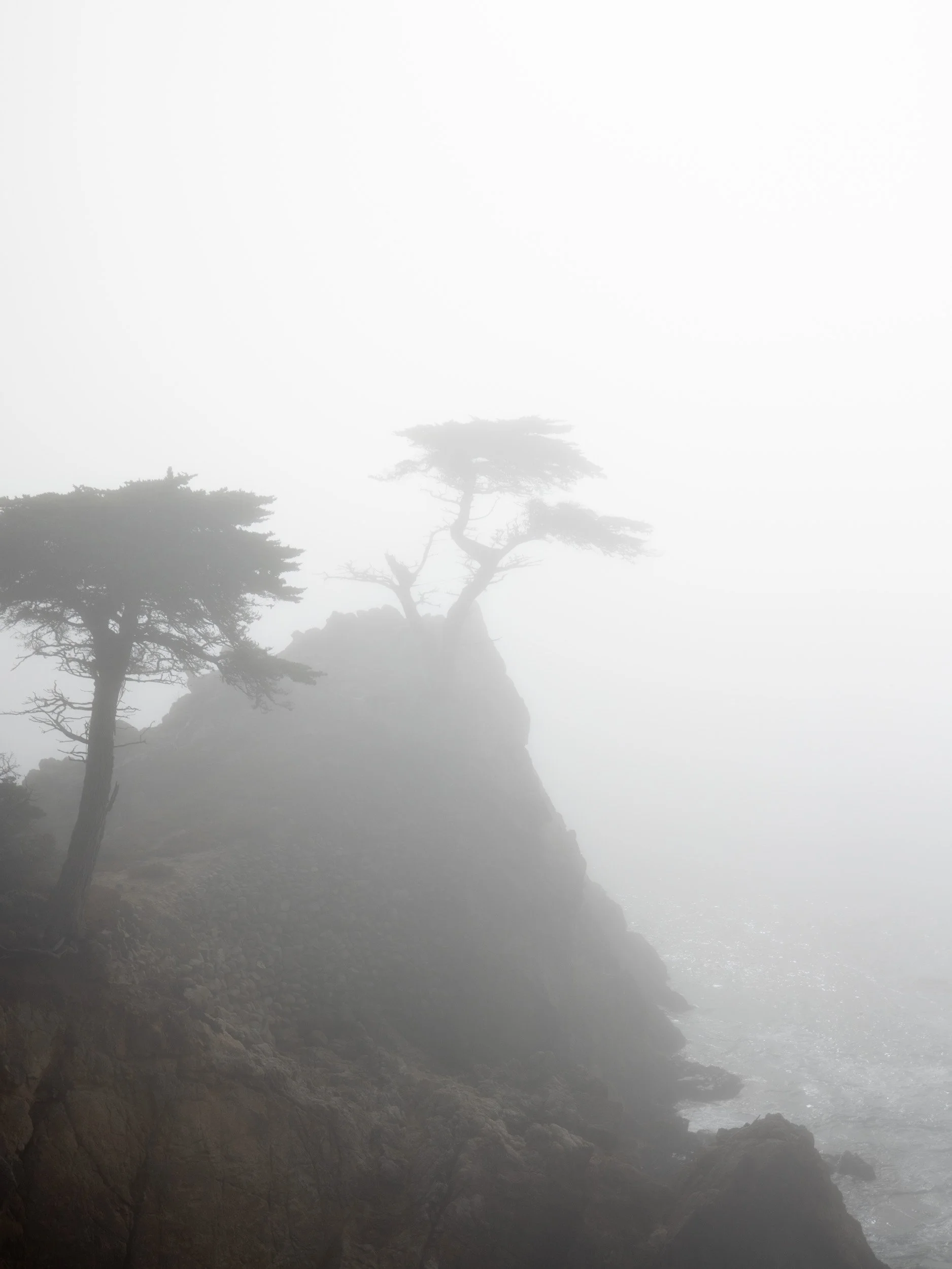 Guide to the 17-Mile Drive From Monterey to Carmel