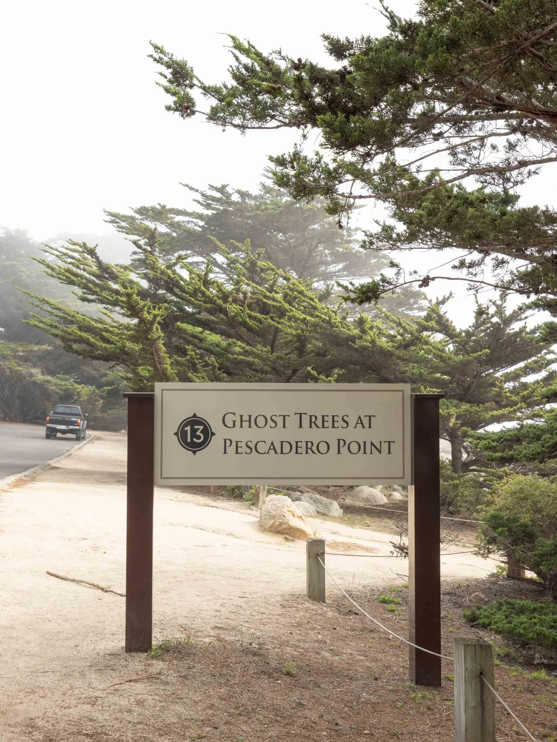 Guide to the 17-Mile Drive From Monterey to Carmel