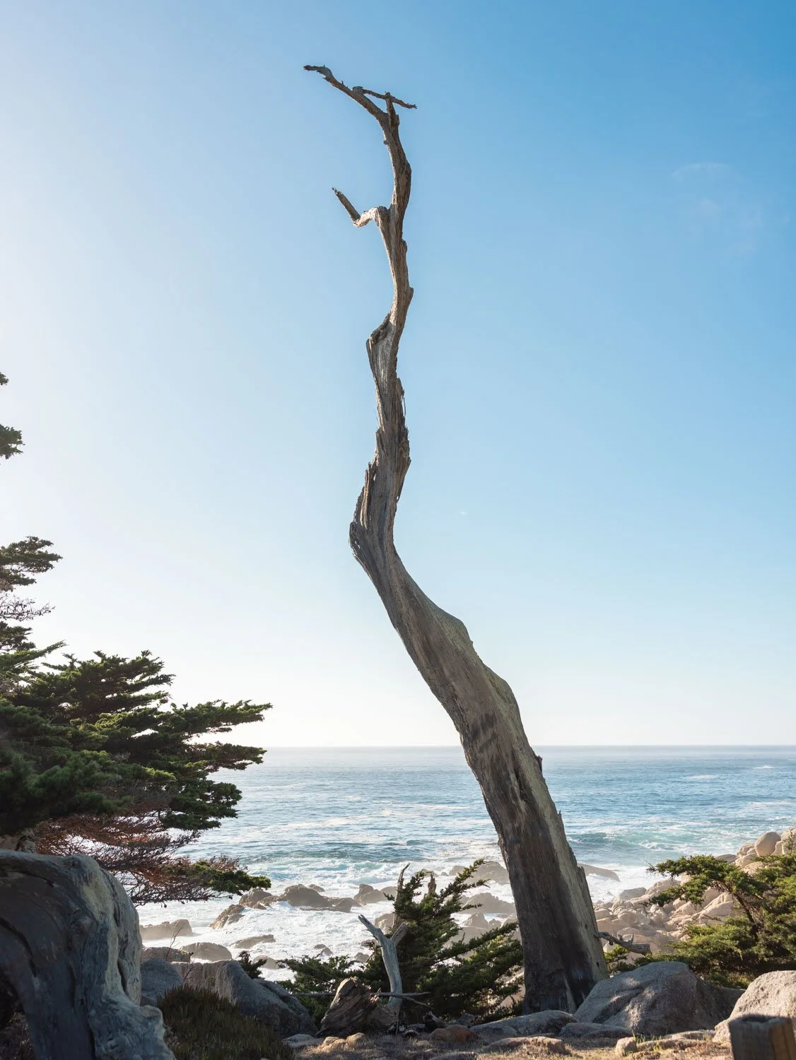 Guide to the 17-Mile Drive From Monterey to Carmel