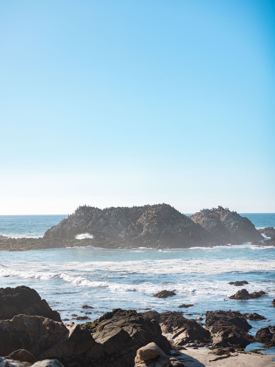 Guide to the 17-Mile Drive From Monterey to Carmel