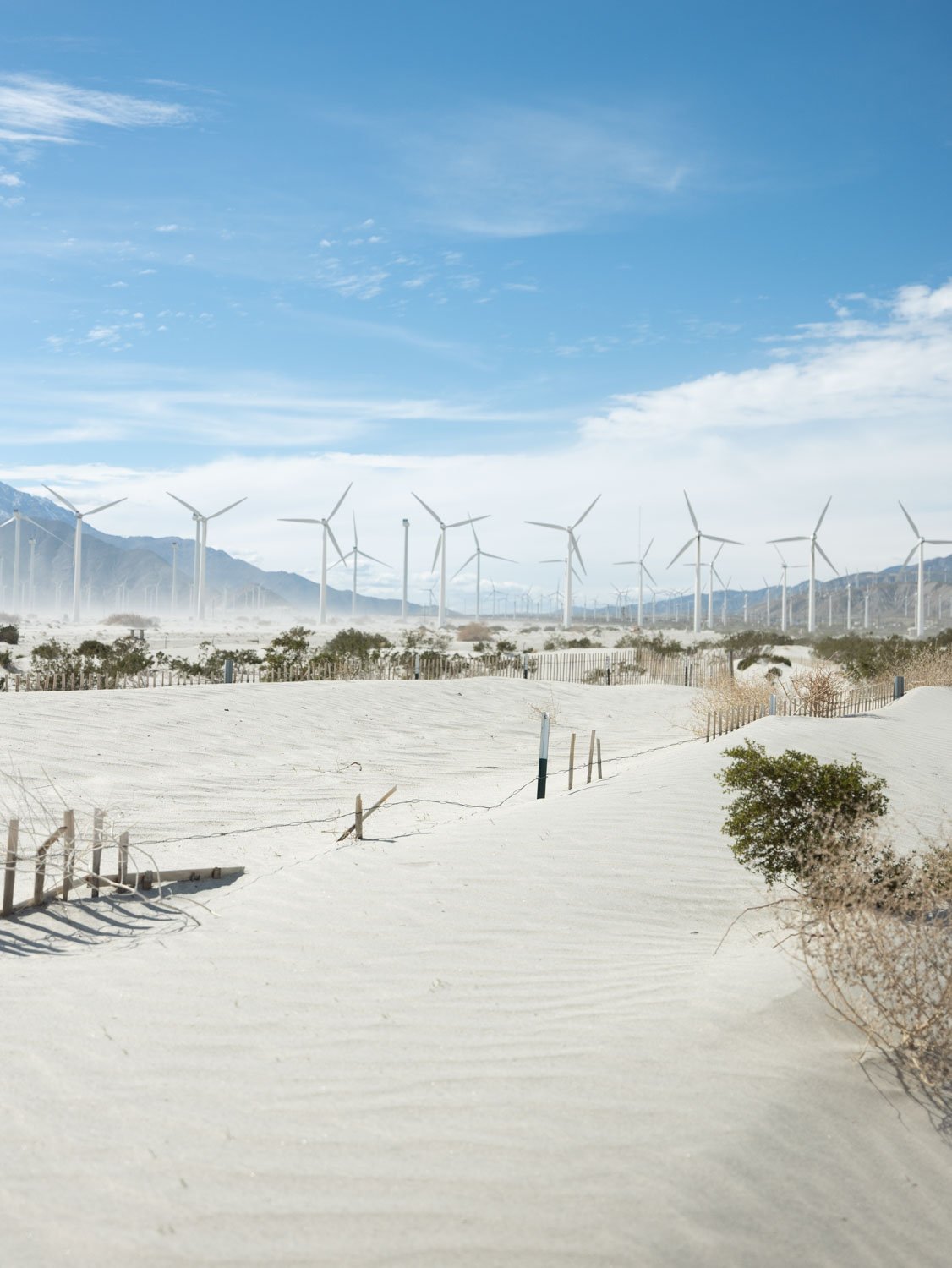 Things To Do in Palm Springs, California