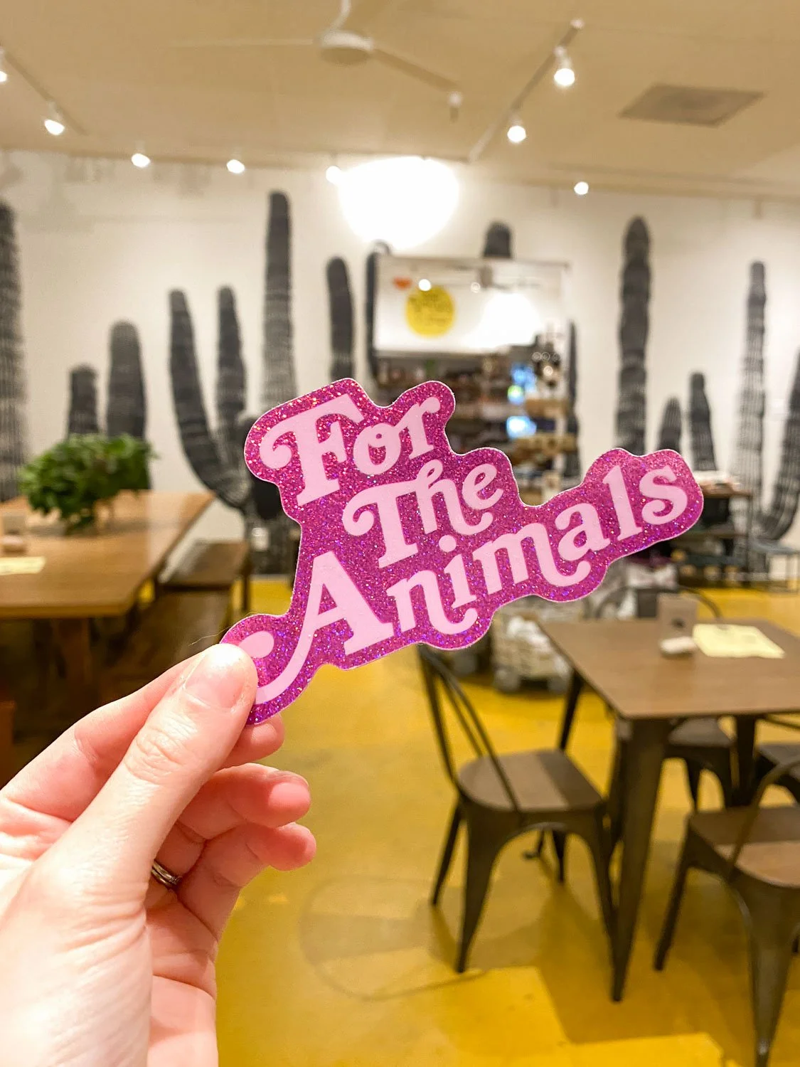 Things To Do in Palm Springs, California