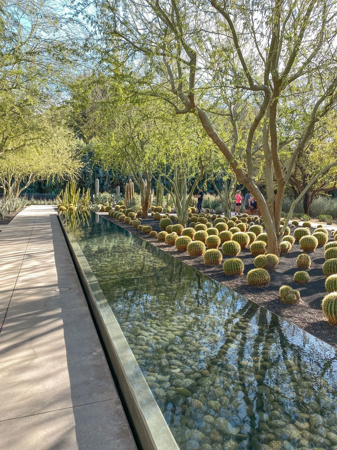 Things To Do in Palm Springs, California