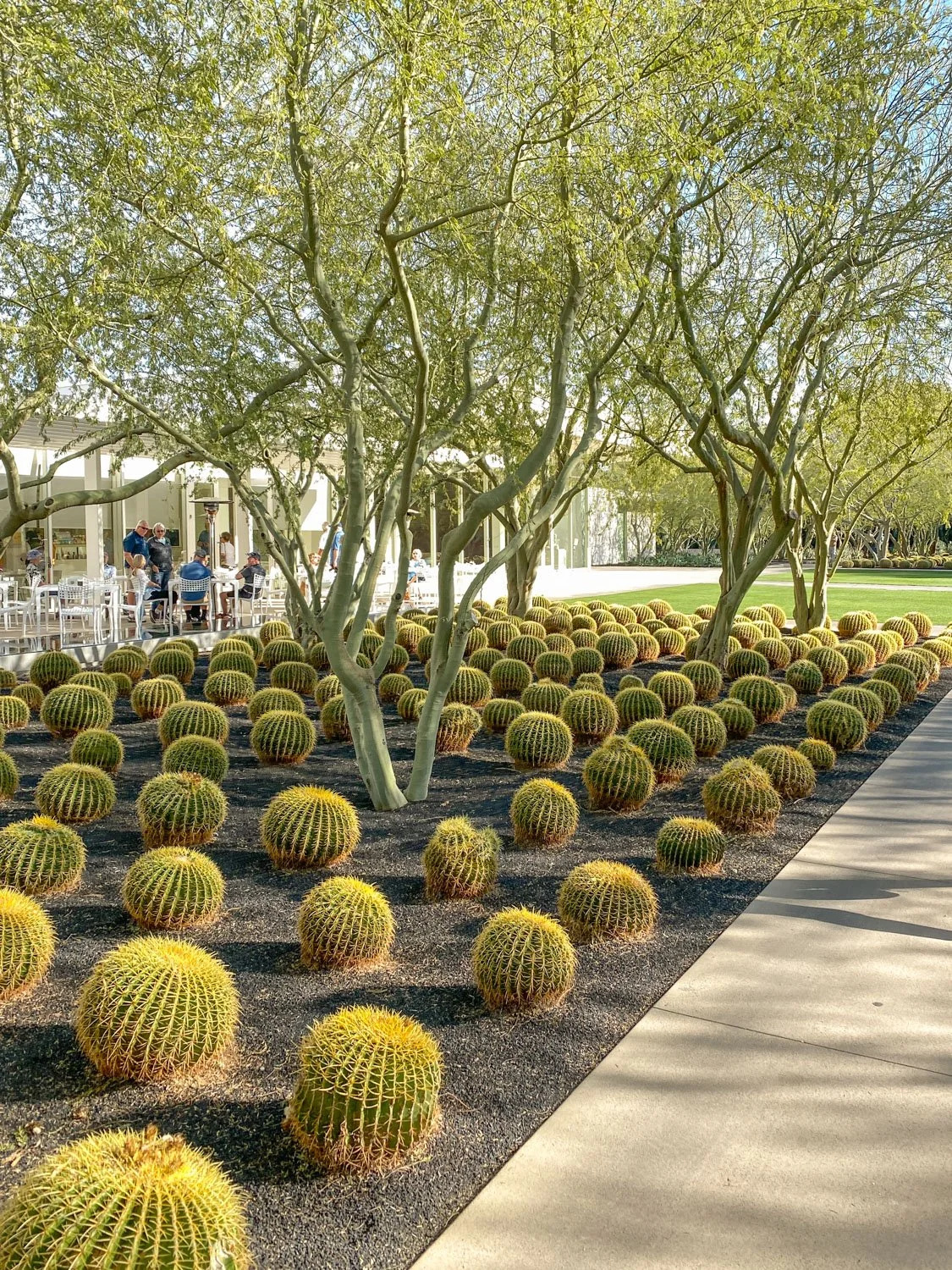 Things To Do in Palm Springs, California