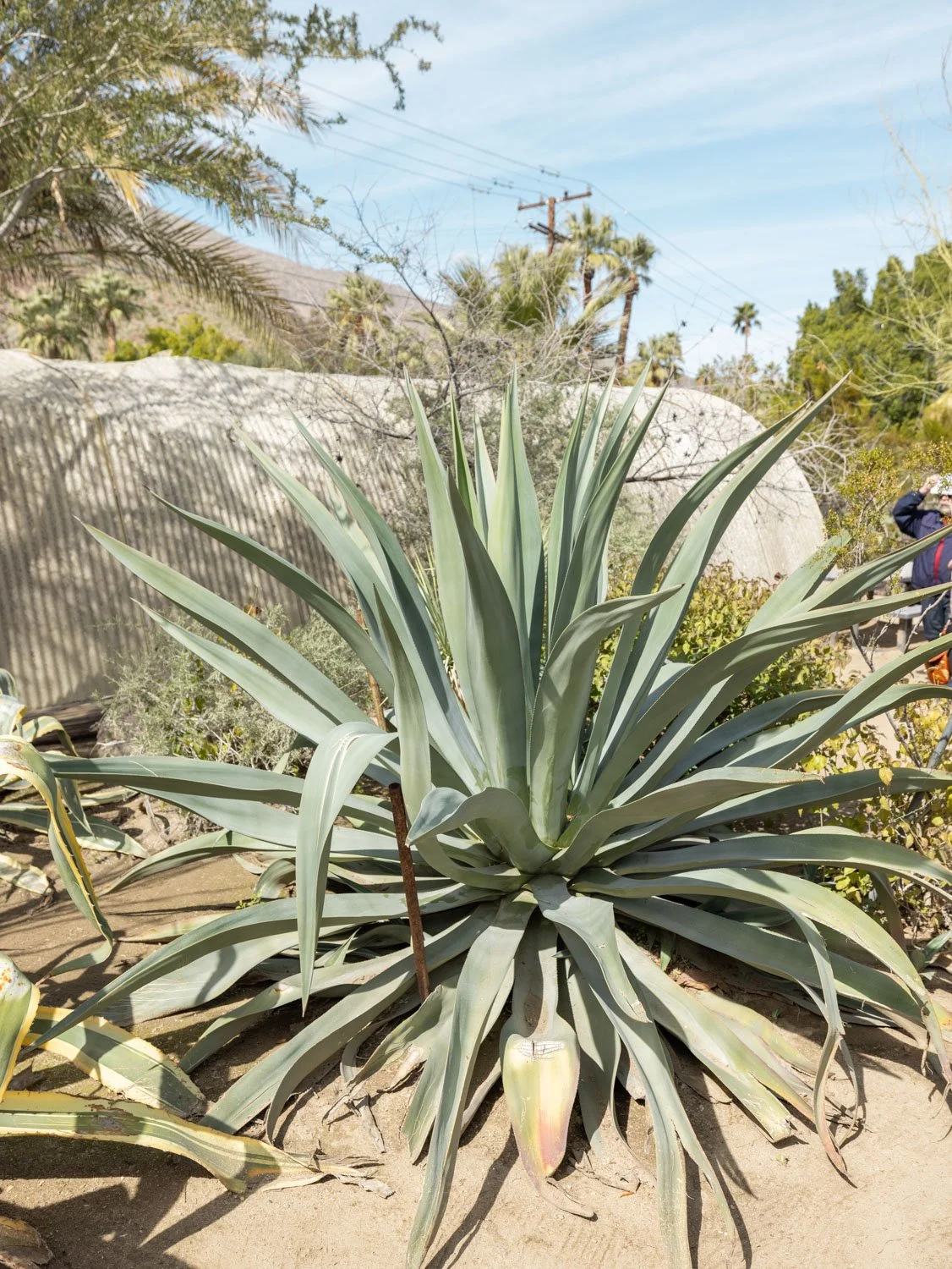 Palm Springs Weekend Getaway: 3-Day Itinerary