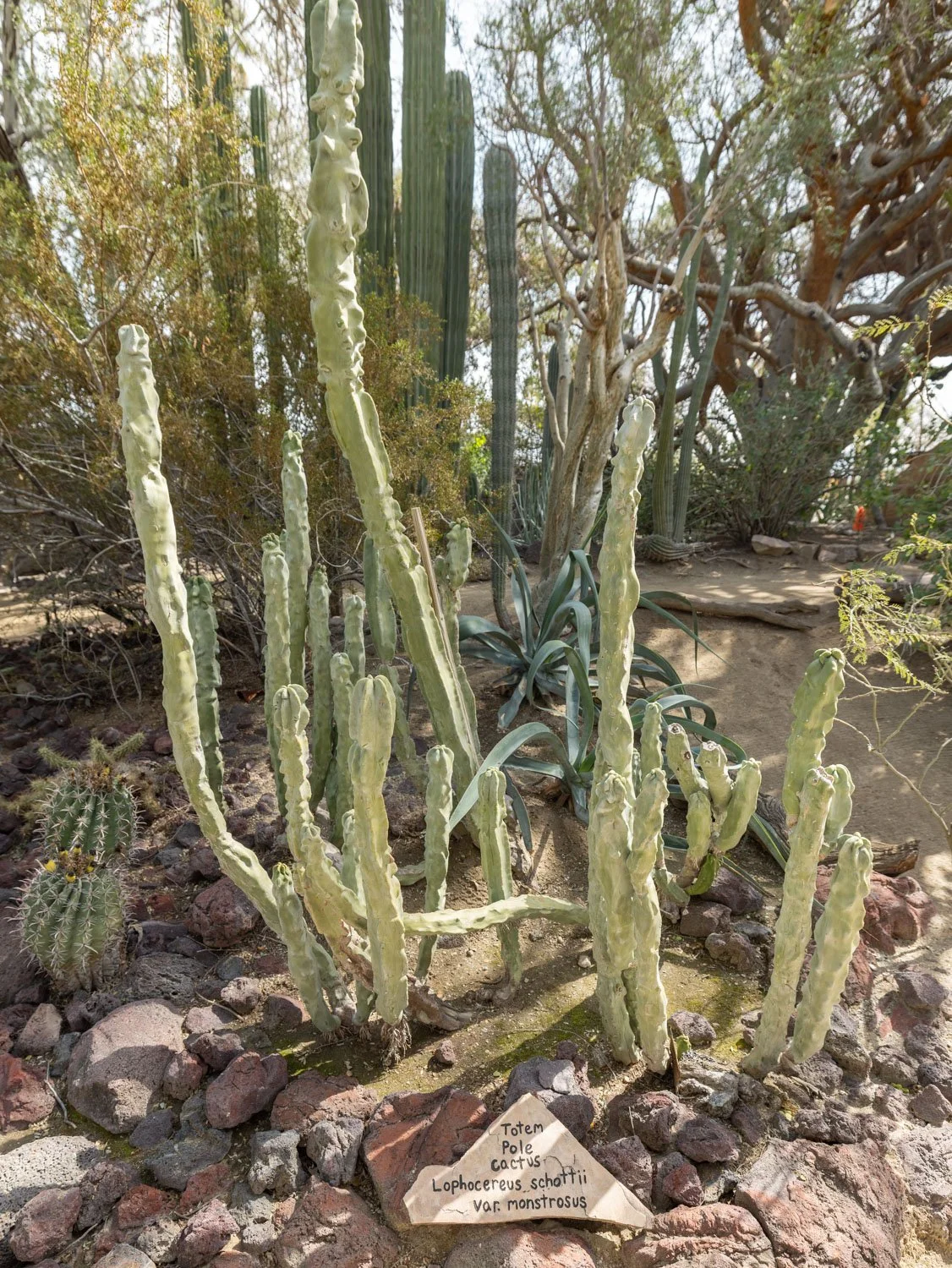 Palm Springs Weekend Getaway: 3-Day Itinerary