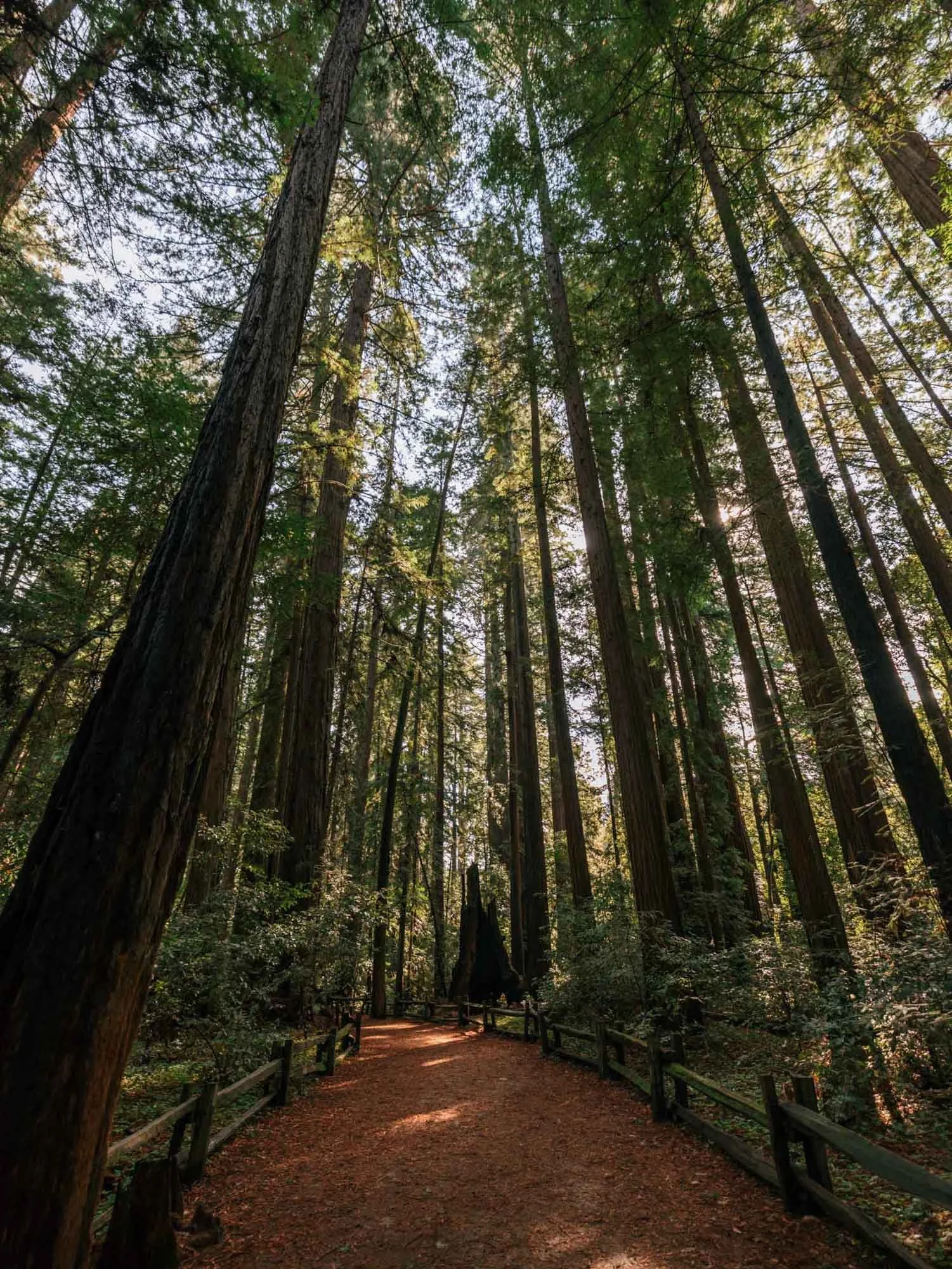 San Francisco to San Diego Road Trip Itinerary