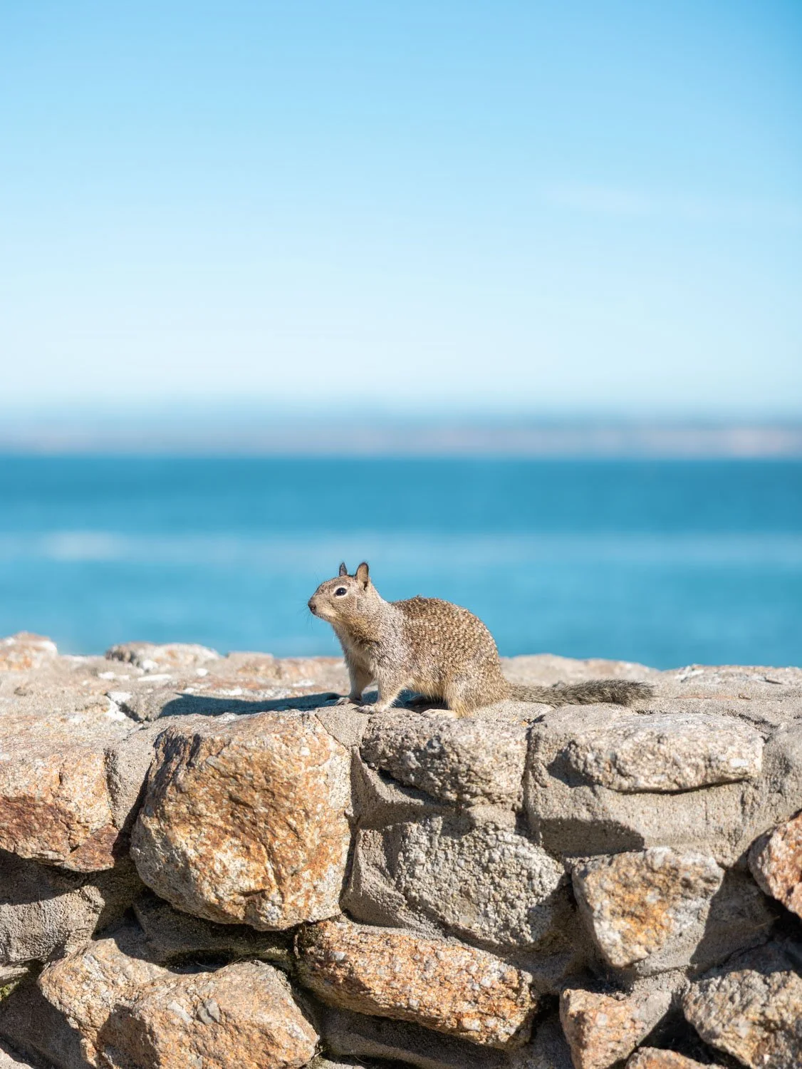 Weekend in Pacific Grove, California
