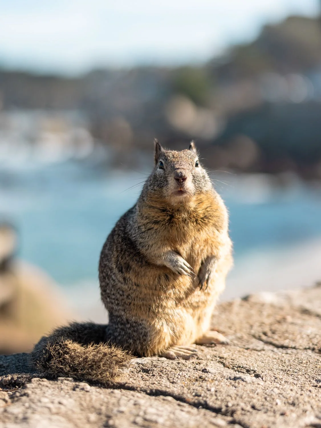 Weekend in Pacific Grove, California