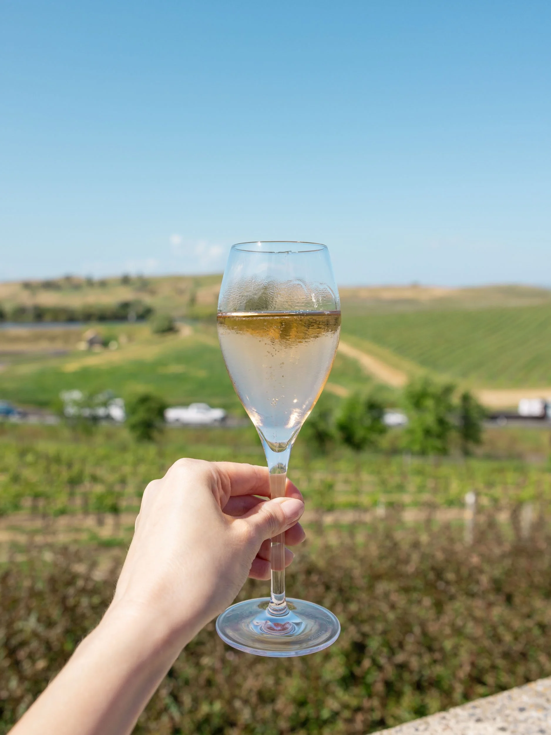 Places to Visit in California in Spring