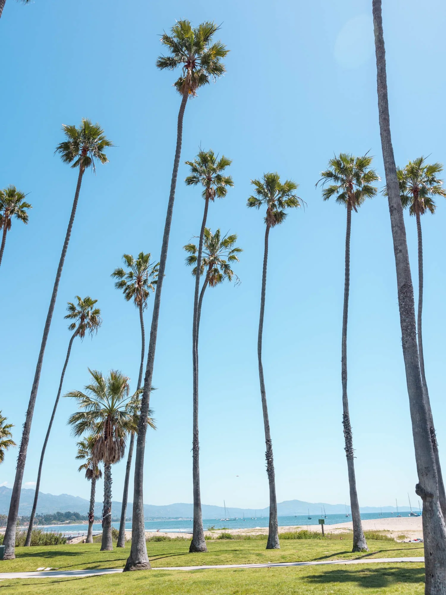 Places to Visit in California in Spring